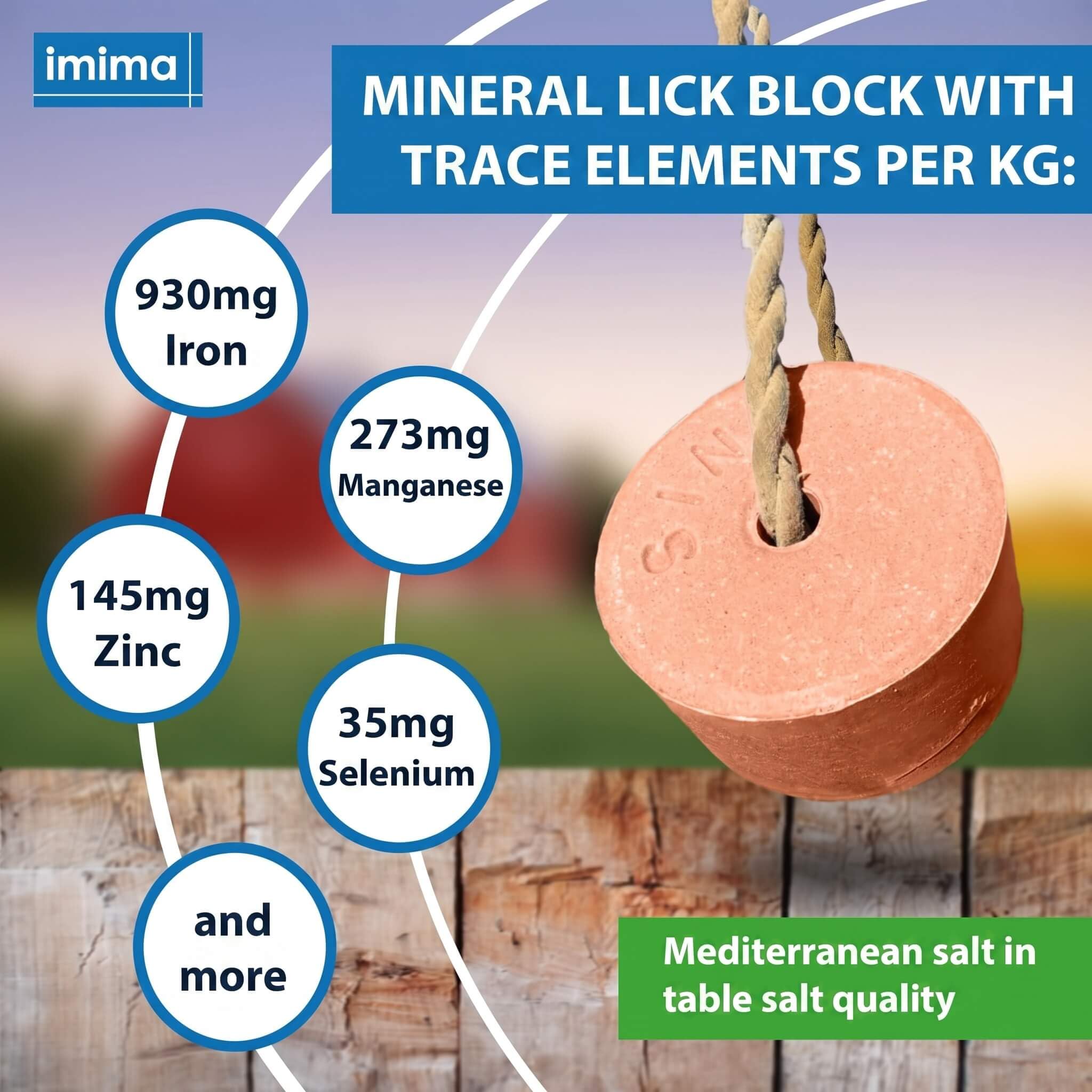 Lecksteine-Bar Premium Set 4X 3kg mit KräuterBlock, PROBIOTIC, MultiVitamin BRONCHIAL, PREMIUMBLOCK Salzleckstein Set 4 x 3 kg - Salzlecksteine für Pferde, Schafe, Ziegen, Wild und Rind