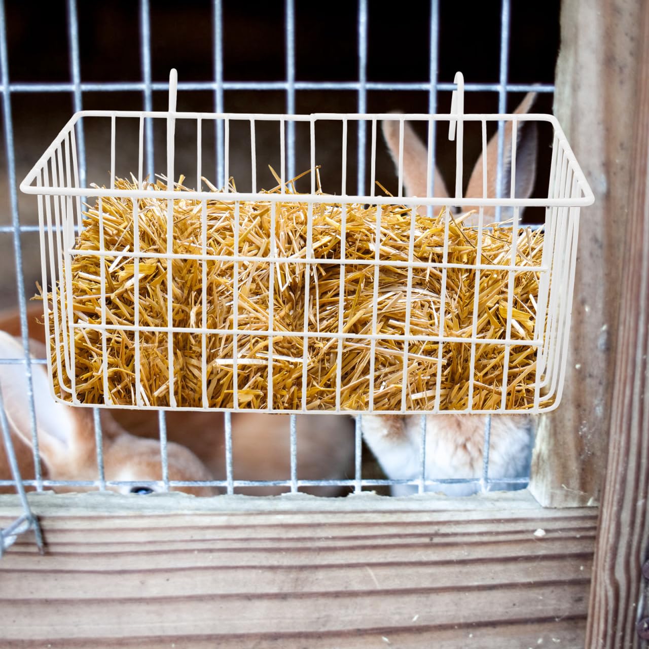 INOOMP Mangeoire à foin pour lapin, mangeoire à lapin, bac à herbe pratique pour chevaux, mangeoire à lapin, cochon d'Inde, panier de rangement en fer forgé blanc