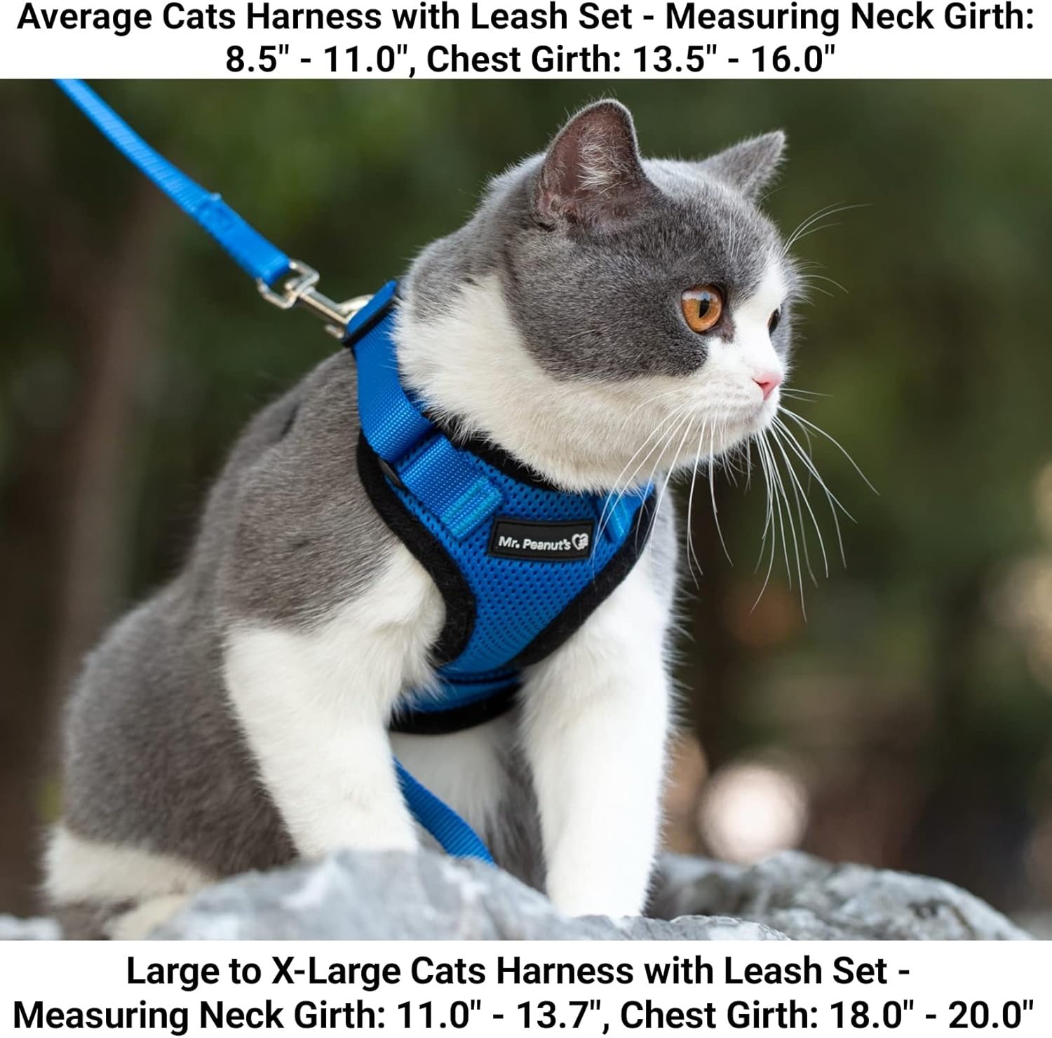 Mr. Peanut's PurrTrek Reflective Cat Harness with Matching Leash (Small, Blue)
