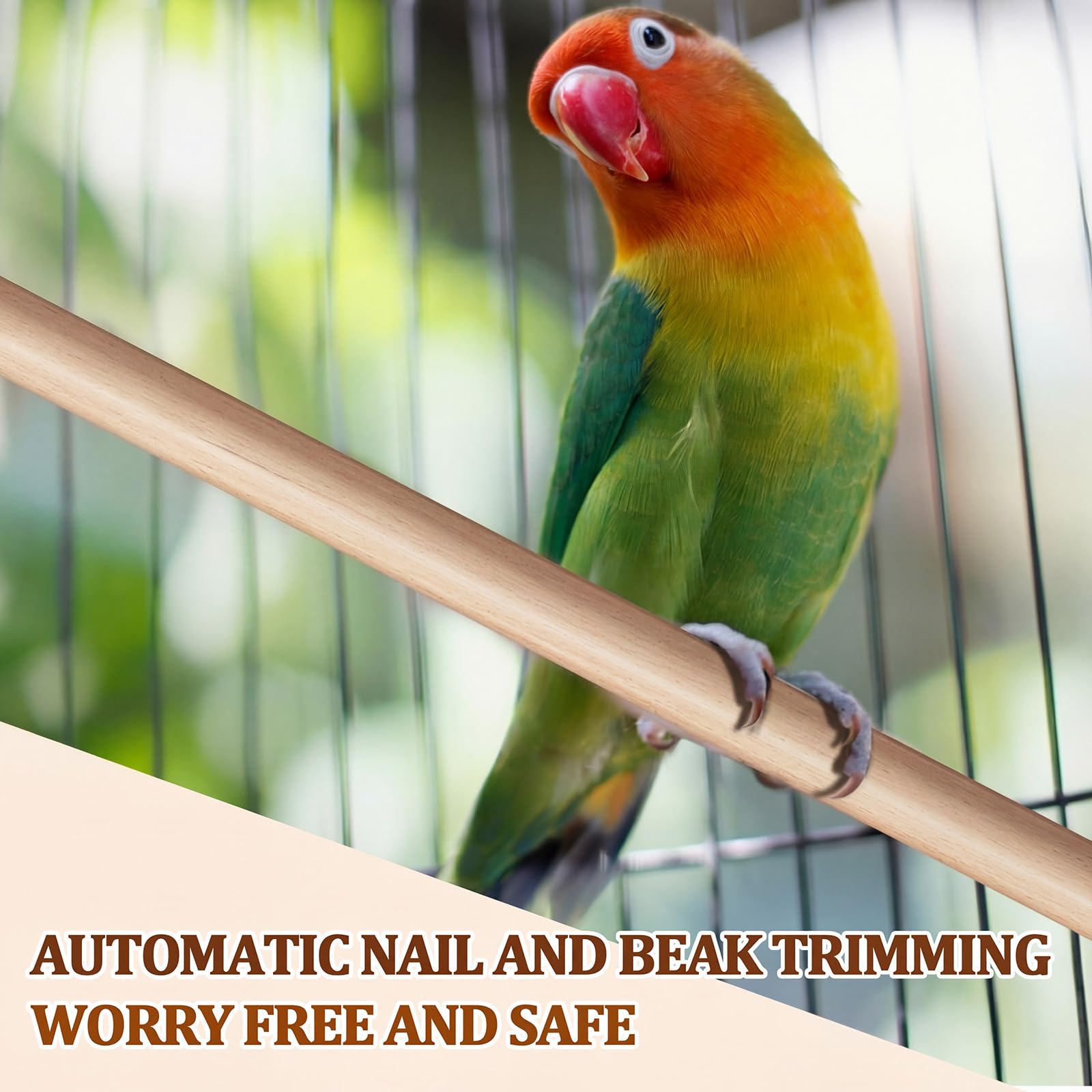 Sintuff Lot de 8 perchoirs à oiseaux pour accessoires de cage, tiges de rechange en bois avec double fente pour tête, support en bois naturel de 1,5 cm de diamètre pour perroquet, ara, cacatoès