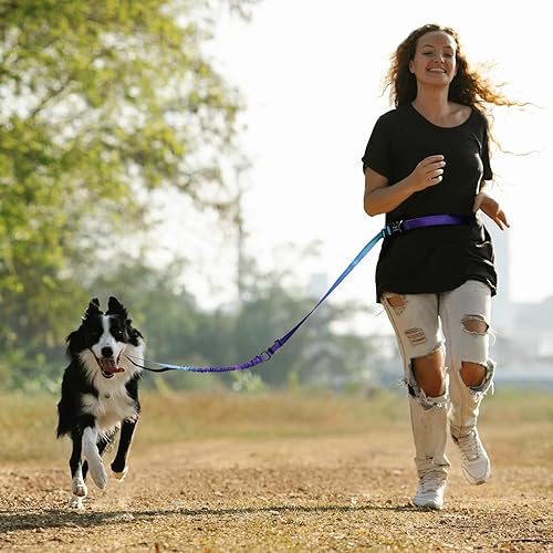 Miniatura 4 de Roses&Poetry Correa de perro manos libres para perros medianos y grandes, resistente, sin tirones, correa de cintura para correr para caminar y