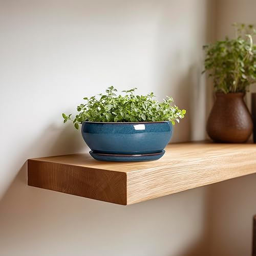 Miniatura 4 de SQOWL Macetas para Suculentas - Macetas de Cerámica para Bonsái de 6 Pulgadas, Maceta Poco Profunda con Orificio de Drenaje y Platillo, Maceta