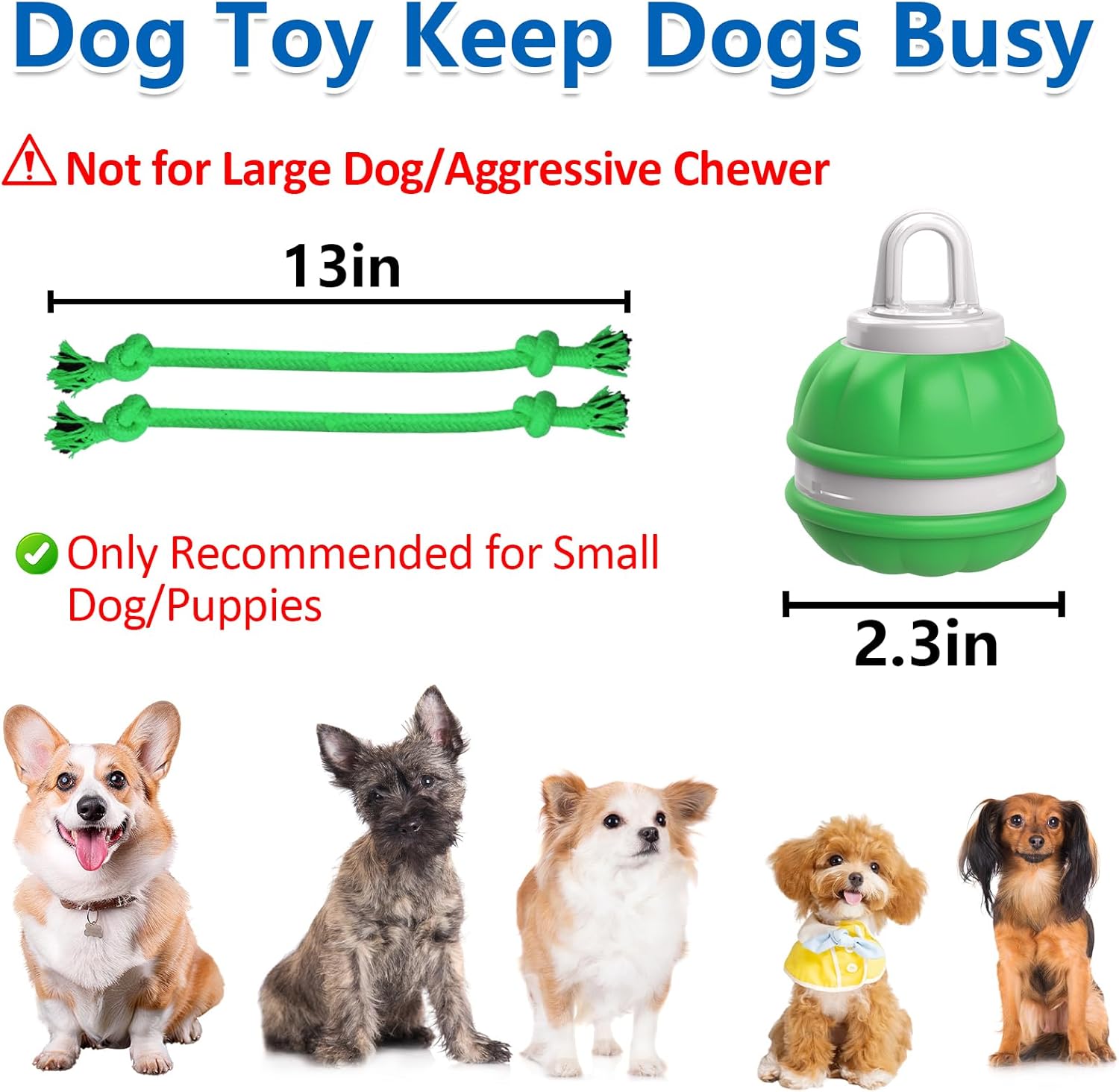 Unleash the Fun: Review of the Interactive Wicked Ball for Small Dogs!