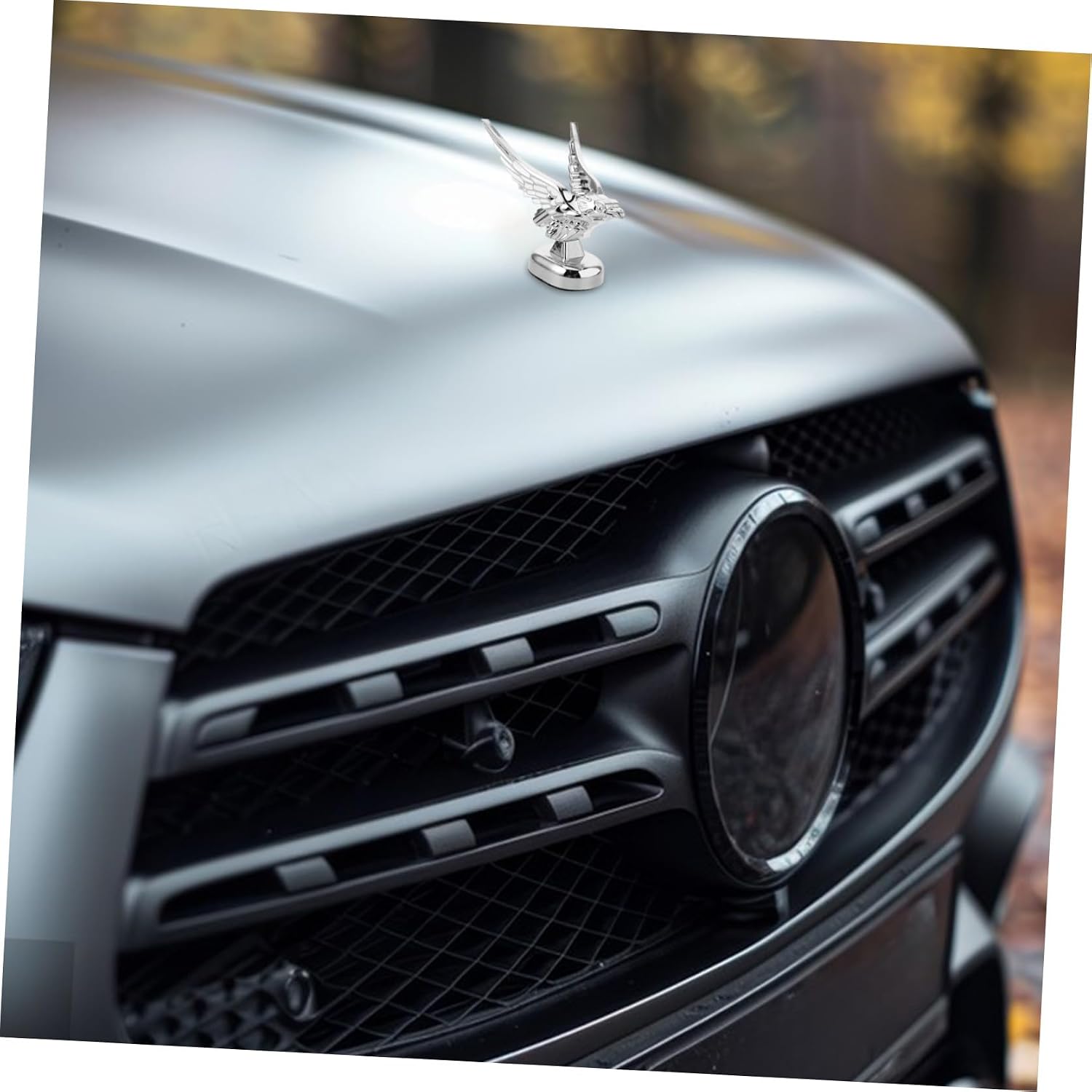Garneck Vintage Eagle Car Hood Ornament Durable Plastic Engine Decoration Elegant Design for Trucks and Cars Easy to Remove Fit for All Vehicle Models