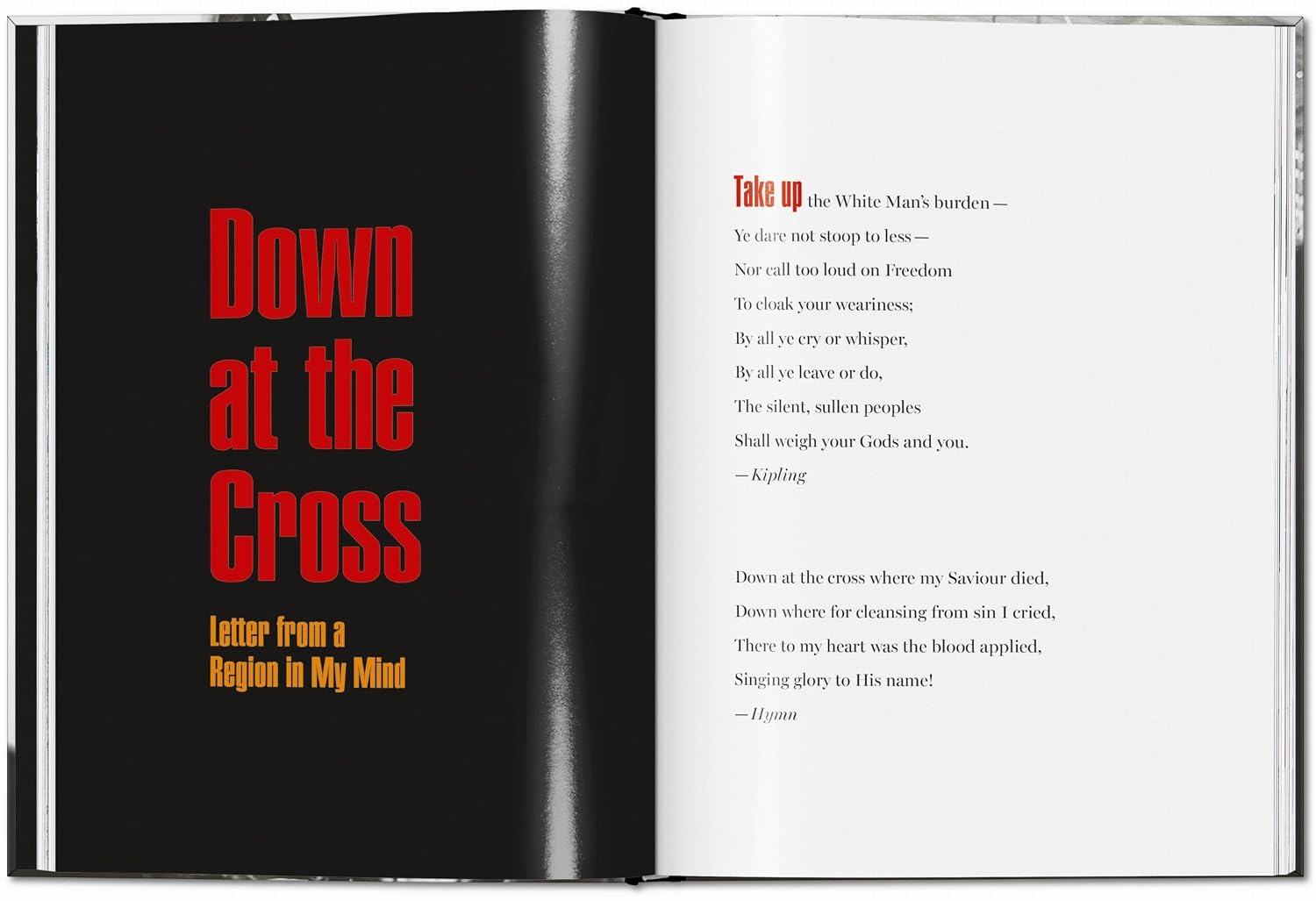 James Baldwin. Steve Schapiro. The Fire Next Time (Icon)