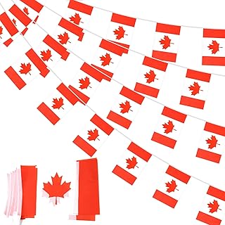 32.8ft 38 Pcs Rectangle Canada Pennant Flags Banner - Mini Canadian String Banner Flag, Colorful Stripes Bunting Banner for Indoor Outdoor Canadian Day Decorations, Party, National Day Celebration, Home, School, Bars, Restaurants, Garden Decor