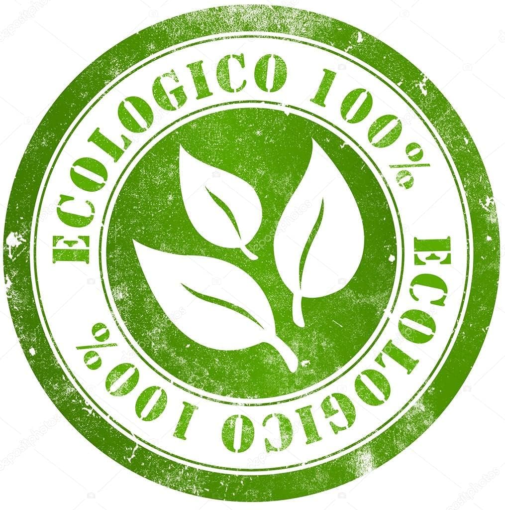 Puerro ECO - 420 g - Imagen 3