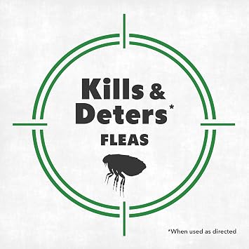 Flea Killer Spray (16 oz) | Kills on Contact, Pet & Family Friendly, Plant-Based Active Ingredients, For Carpets & Pet Areas, Fast-Acting Formula