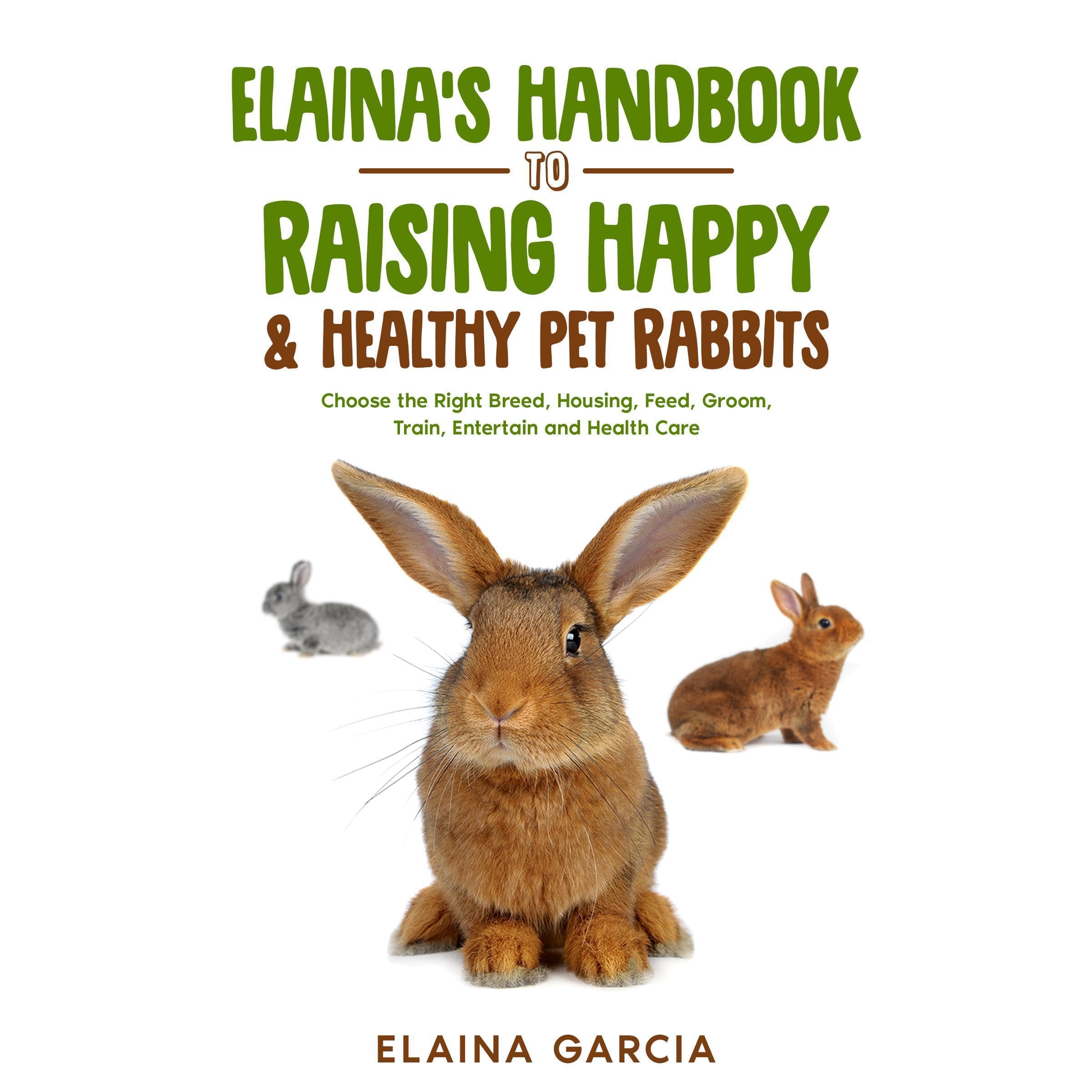 Elaina’s Handbook to Raising Happy & Healthy Pet Rabbits