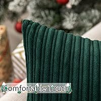 Vista 226 de UGASA - Juego de 2 fundas de almohada de terciopelo a rayas, funda decorativa para cojín con cremallera oculta para el hogar, sofá, dormitorio