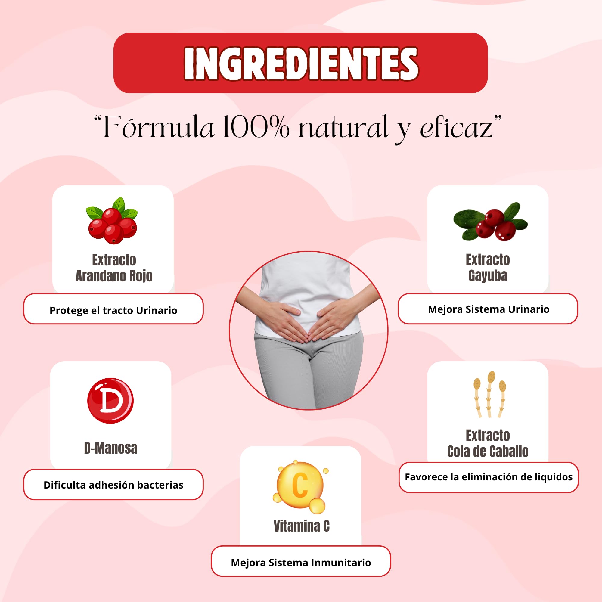 Arándano Rojo Americano con D Manosa para Cistitis y Tracto Urinario | Suplemento Natural Infecciones Urinarias Mujeres | 90 Cápsulas Vegetales | Sin Gluten | Sin Lactosa - PITUR