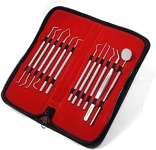 Stainless Steel Precision Micro Probe Set Combo, Straight, Single, Short Double, Long Double, Triple and Hook Tips 5.5 inch- 6.5 inch Overall Length (12)