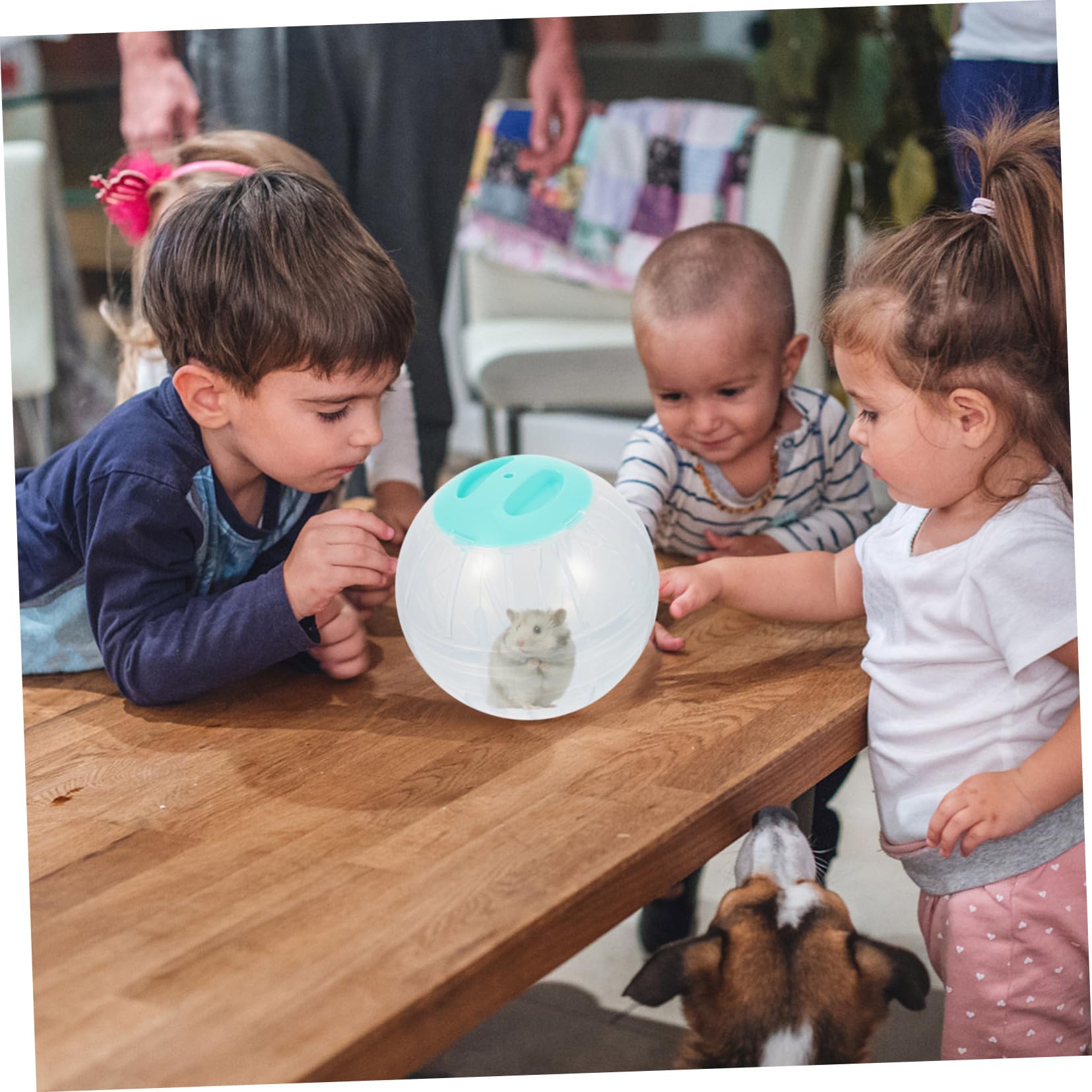 4stücke Hamster Übungsbälle Für Kleine Tiere Transparente Laufräder Für Hamster Und Kleine Nager Fördert Bewegung Und Spiel Langeweile Und Stress