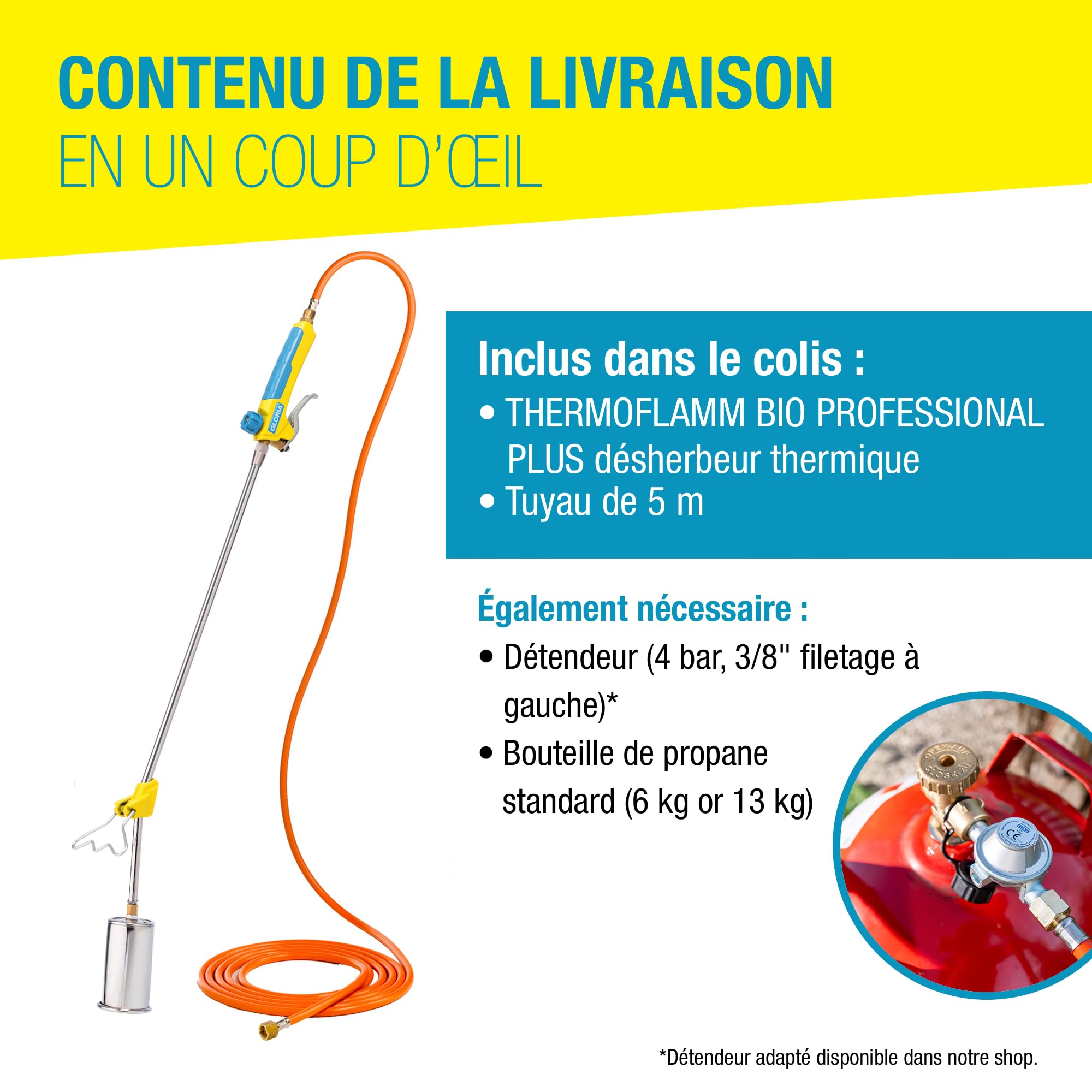 Gloria Désherbeur Thermique à Gaz Thermoflamm bio Professional PLUS 1000 °C pour Grandes Surfaces