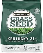 Pennington Kentucky 31 Tall Fescue Penkoted Grass Seed 3 lb
