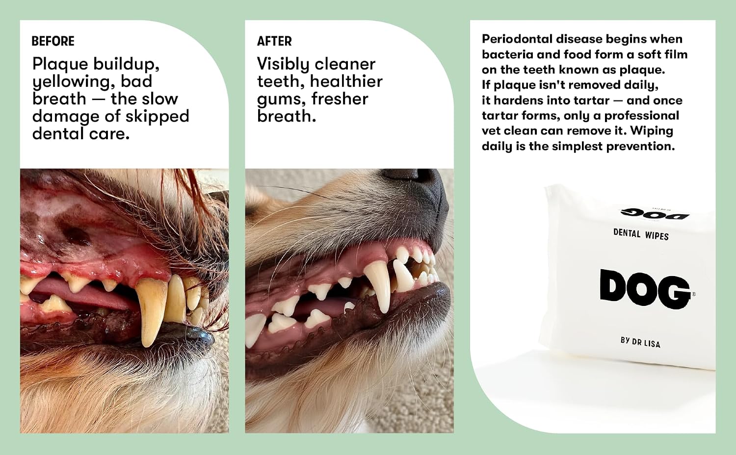 DOG by Dr Lisa Dental Wipes for Dogs, Minty-Vanilla, Plaque and Tartar Prevention, Vegan, Compostable, 60 Wipes image 3
