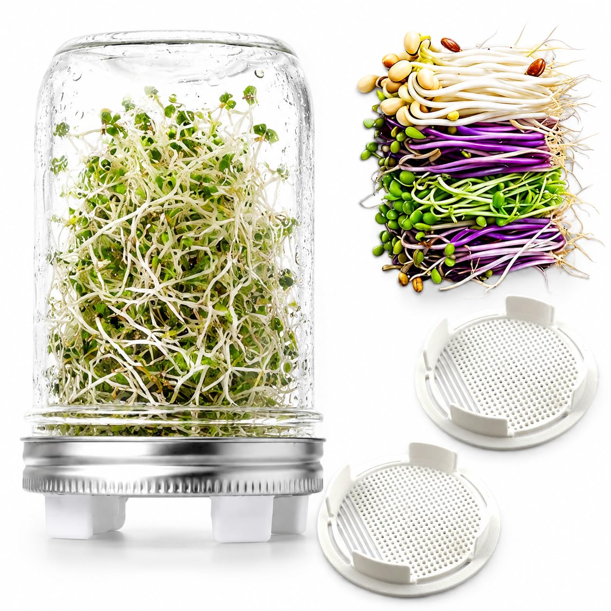 Mason Jar Sprouting Lids for Wide Mouth Jars | Mesh Seed Sprouting Lids | Easy Drain Sprout Growing Kit for Broccoli, Alfalfa, Mung Beans & Microgreens | Reusable Home Sprouting Accessories | 2-Pack