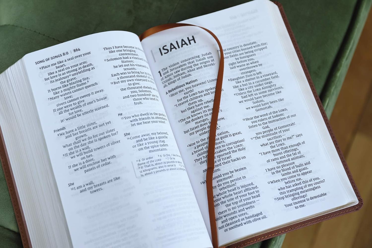 NIV, Personal Size Bible, Large Print, Leathersoft, Brown, Red Letter, Comfort Print - Image 7