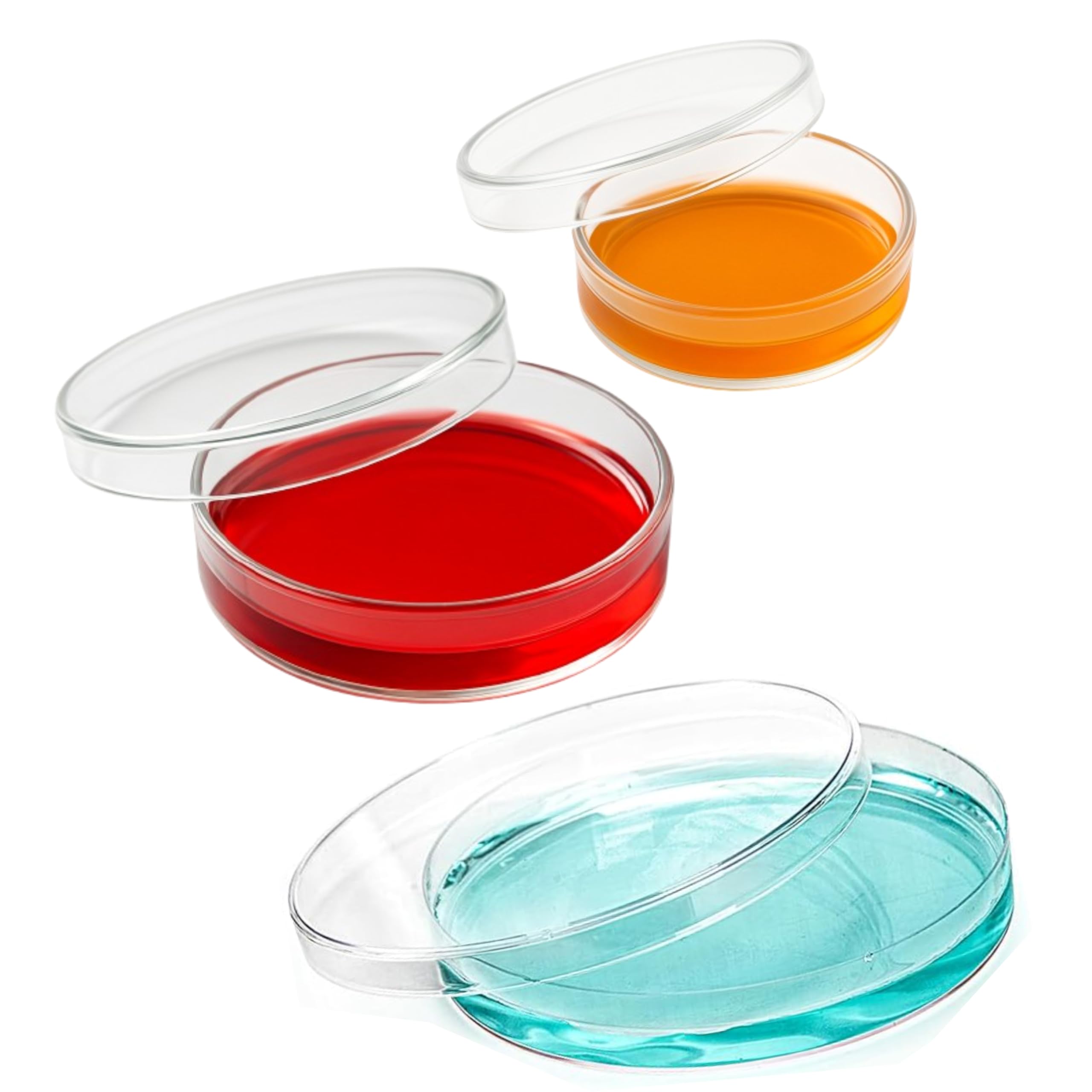 Labxport Borosilicate Glass Petri Dish with Lid (100mm, 75mm & 50mm) Bacterial Culture Dishes for School College lab Laboratory Science Experiment & Sample collection-pack of 3-image-13