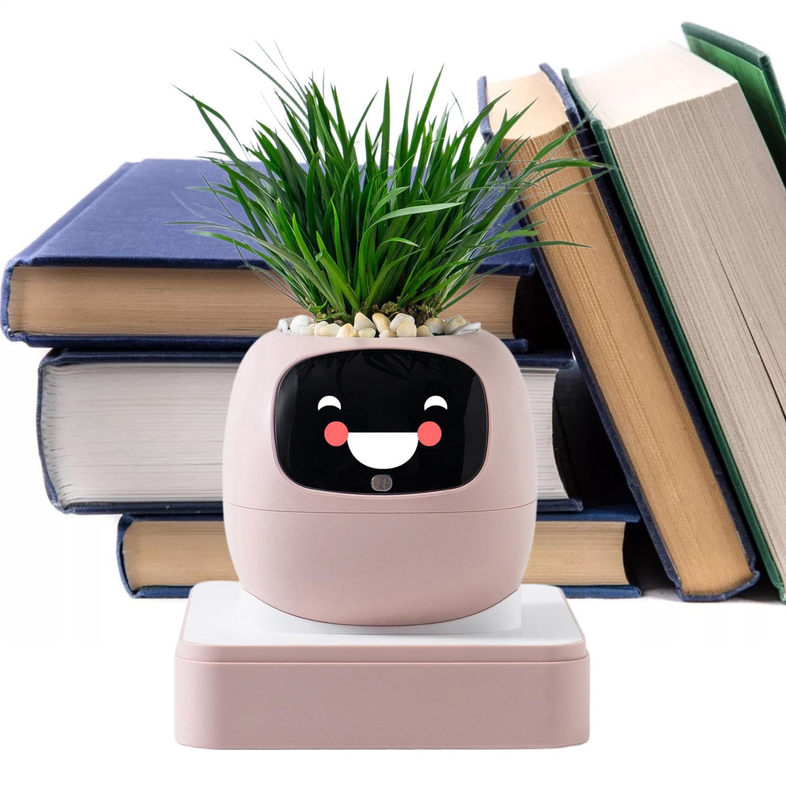 Smart Planter Guidance On Plant Care Multiple Expressions Maceta