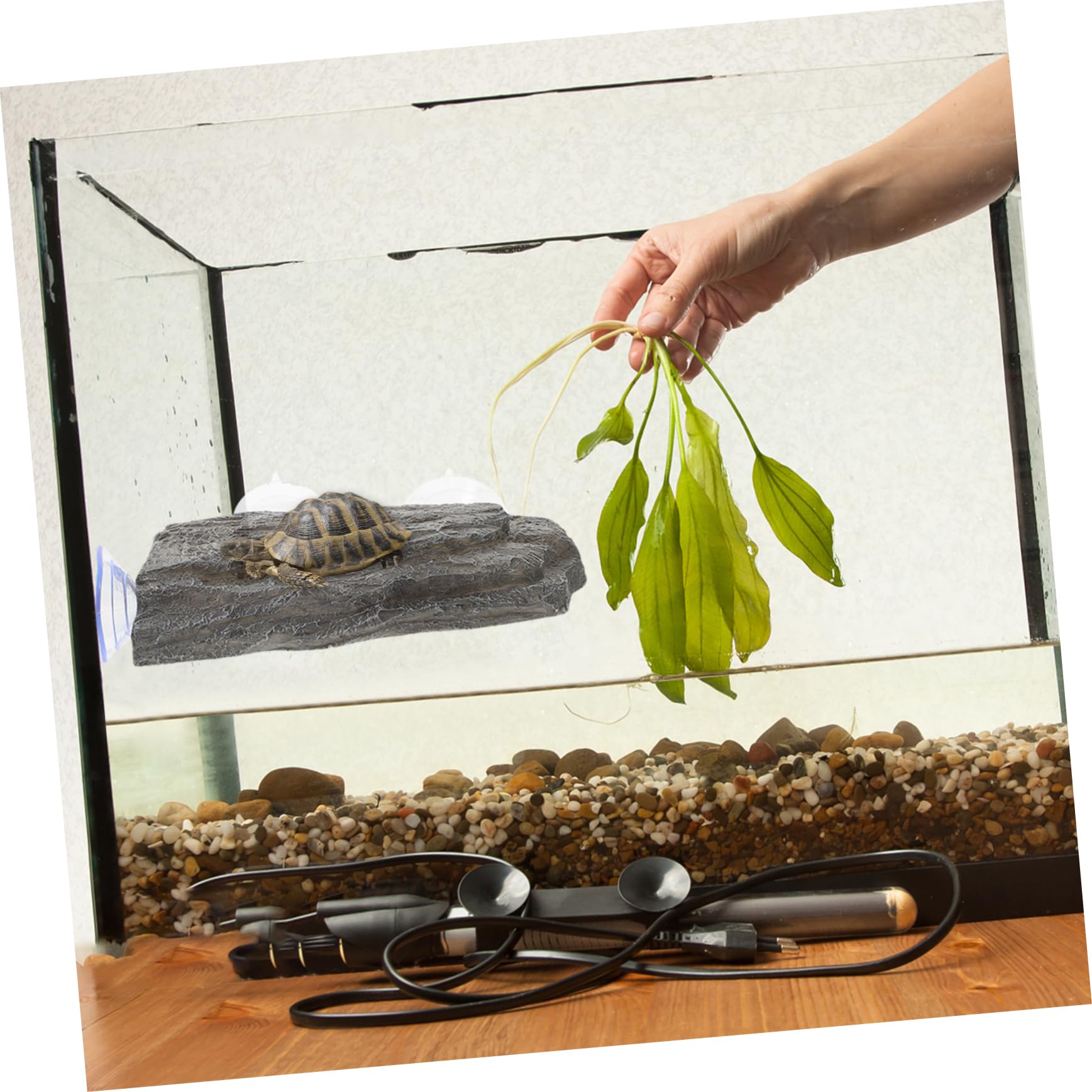Plataforma De Basking para Tortugas con Ventosas Fuerte y Diseño para Acuarios y Terrarios Multi-Funcional y Decorativa