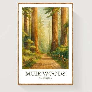 Muir Woods watercolor landscape poster print featuring towering redwood trees, a sunlit forest path, and lush greens, perfect wall art for living room or office decor