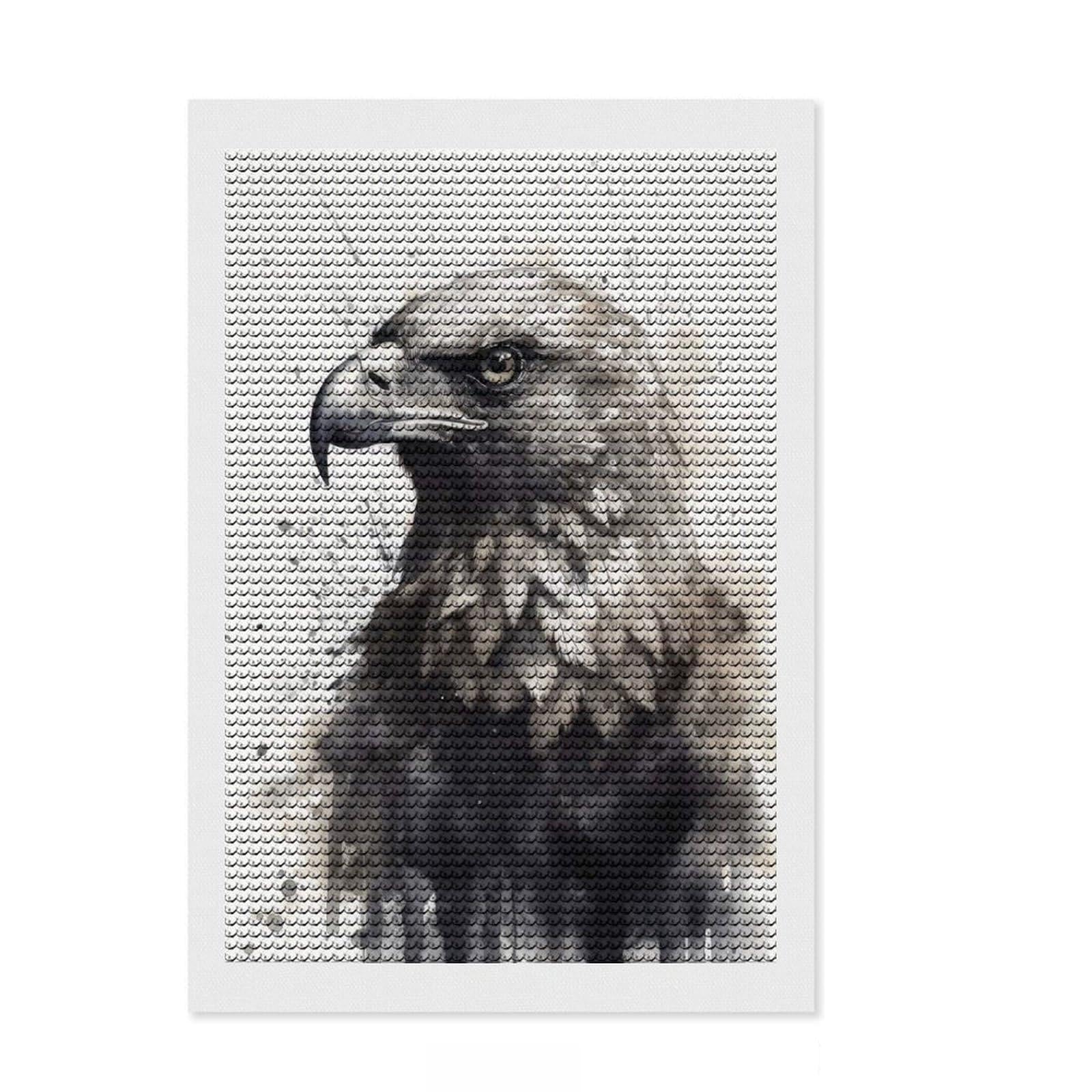 Junmoney Eagle Beauty Watercolor DIY Diamond Art Canvas Kit 8"x12", for Women, Relaxing DIY, Leisure Activity, Home Wall Art, Festive Home Decor