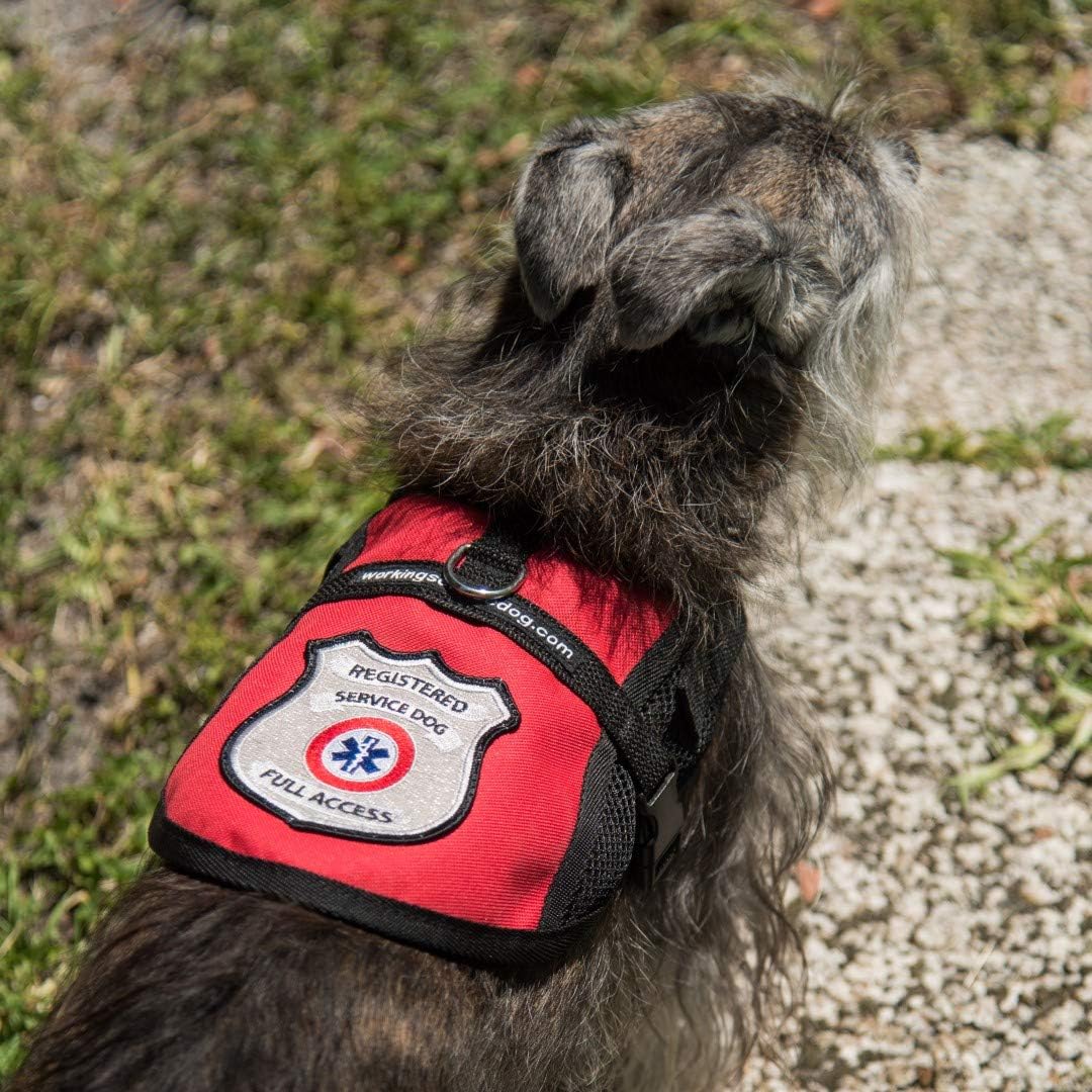 Registered Service Dog Mesh Harness Vest - Includes 5 Federal Law Cards (14-17" Girth, Red)