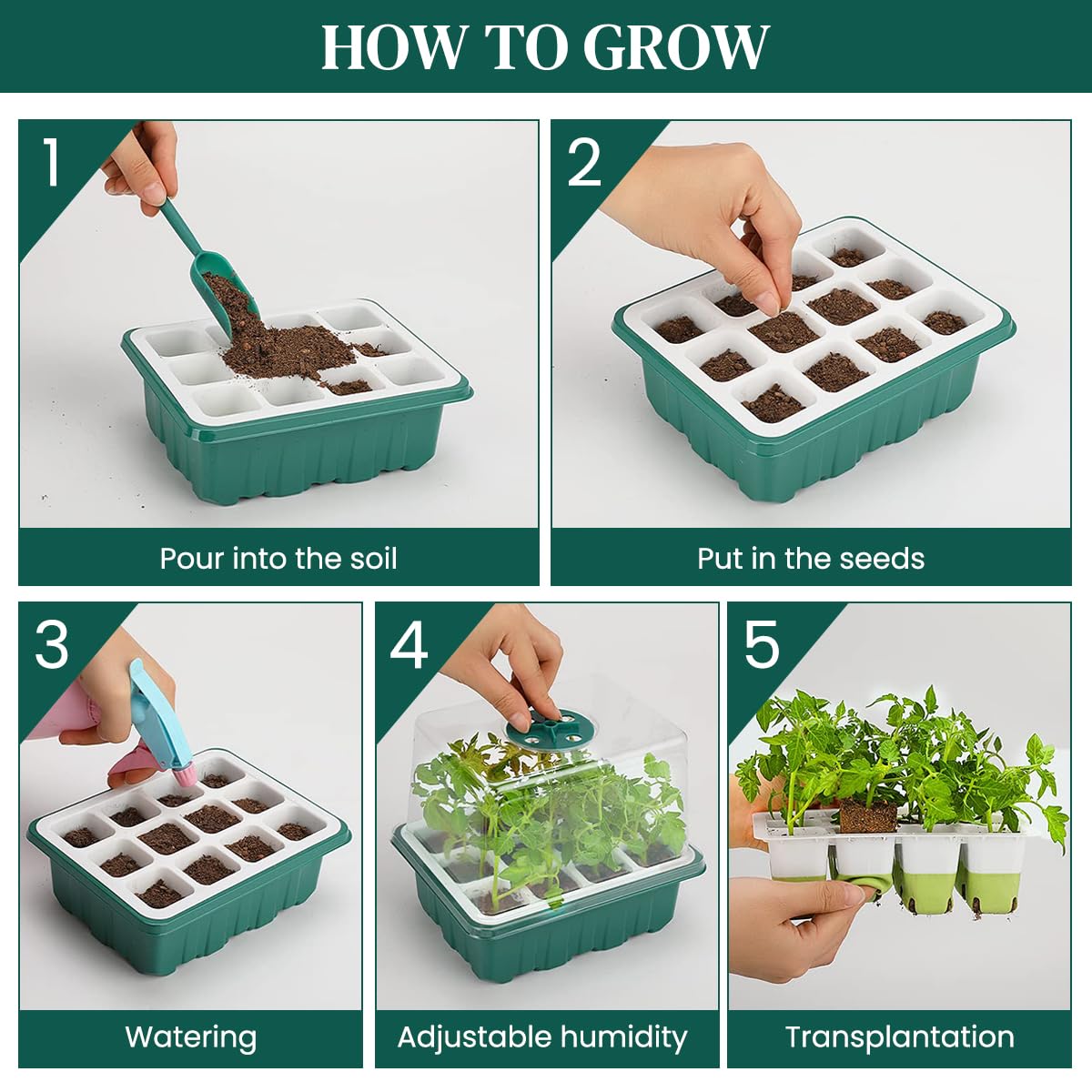 HASTHIP Seed Starter Tray - 12 Pots, FREE SHIPPING -3