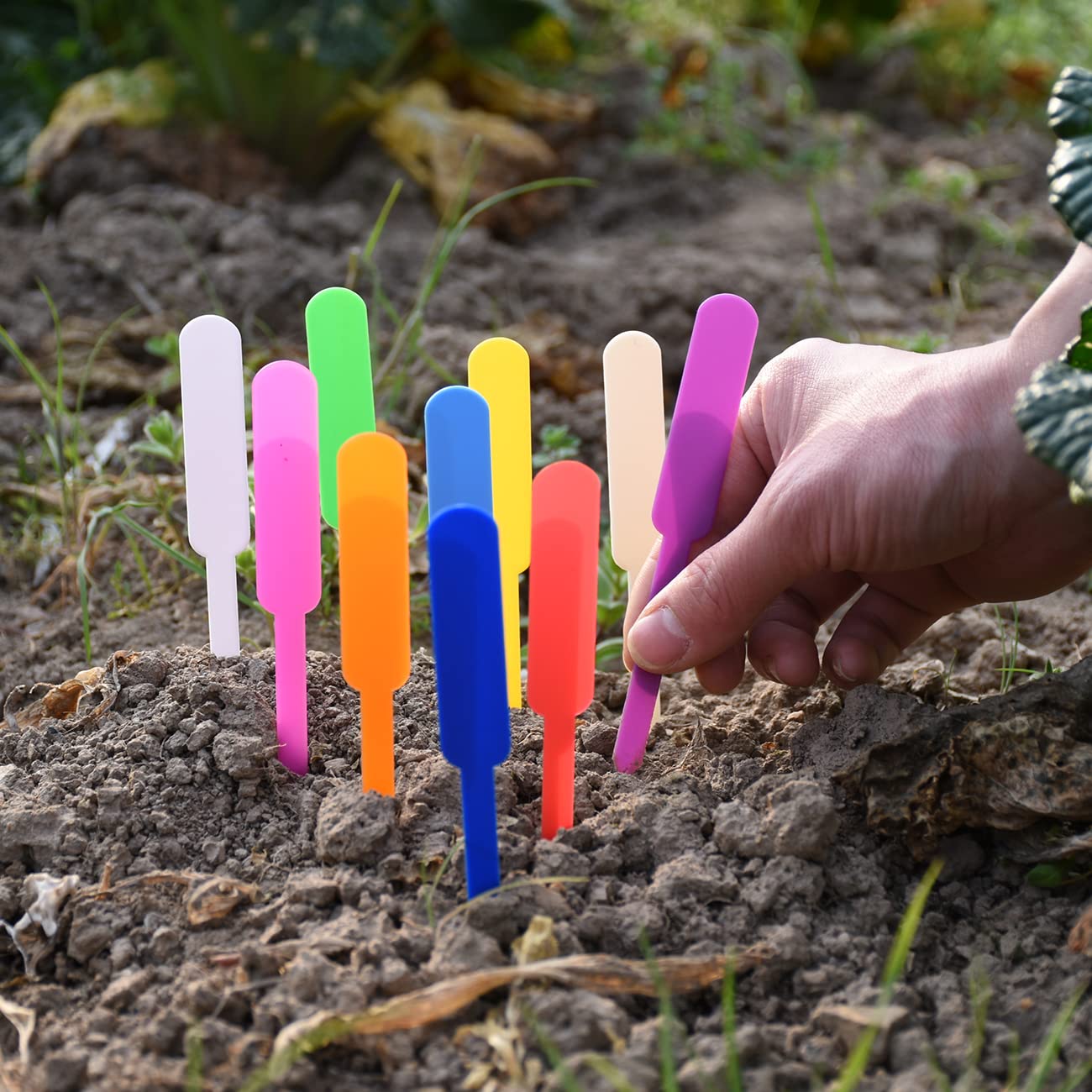 50/100 Etichette Pianta In Plastica A T Per Vasi E Giardino - Riutilizzabili, Marca Generica