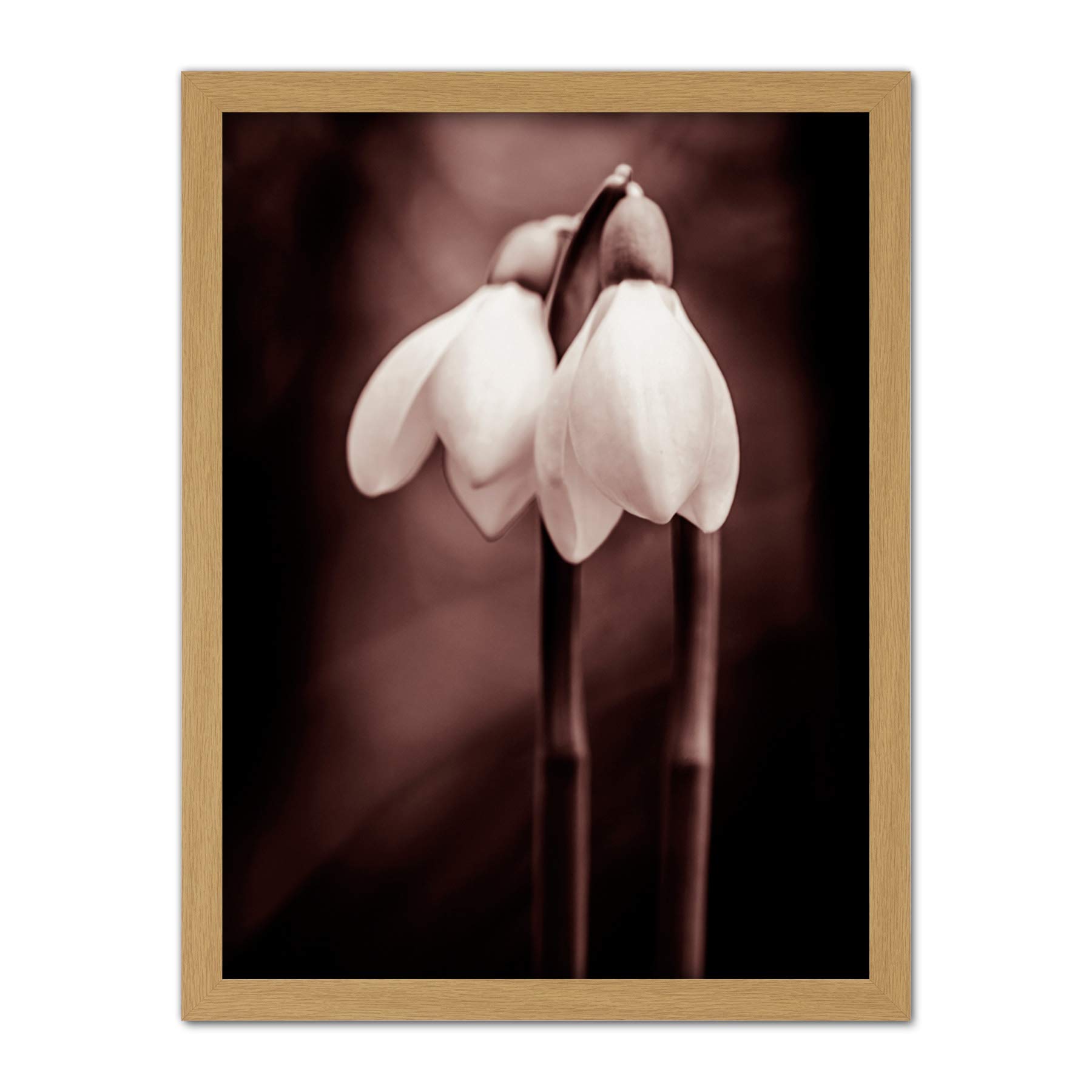 Wee Blue Coo Two Snowdrops Flowers Artwork Framed Wall Art Print 18X24 Inch