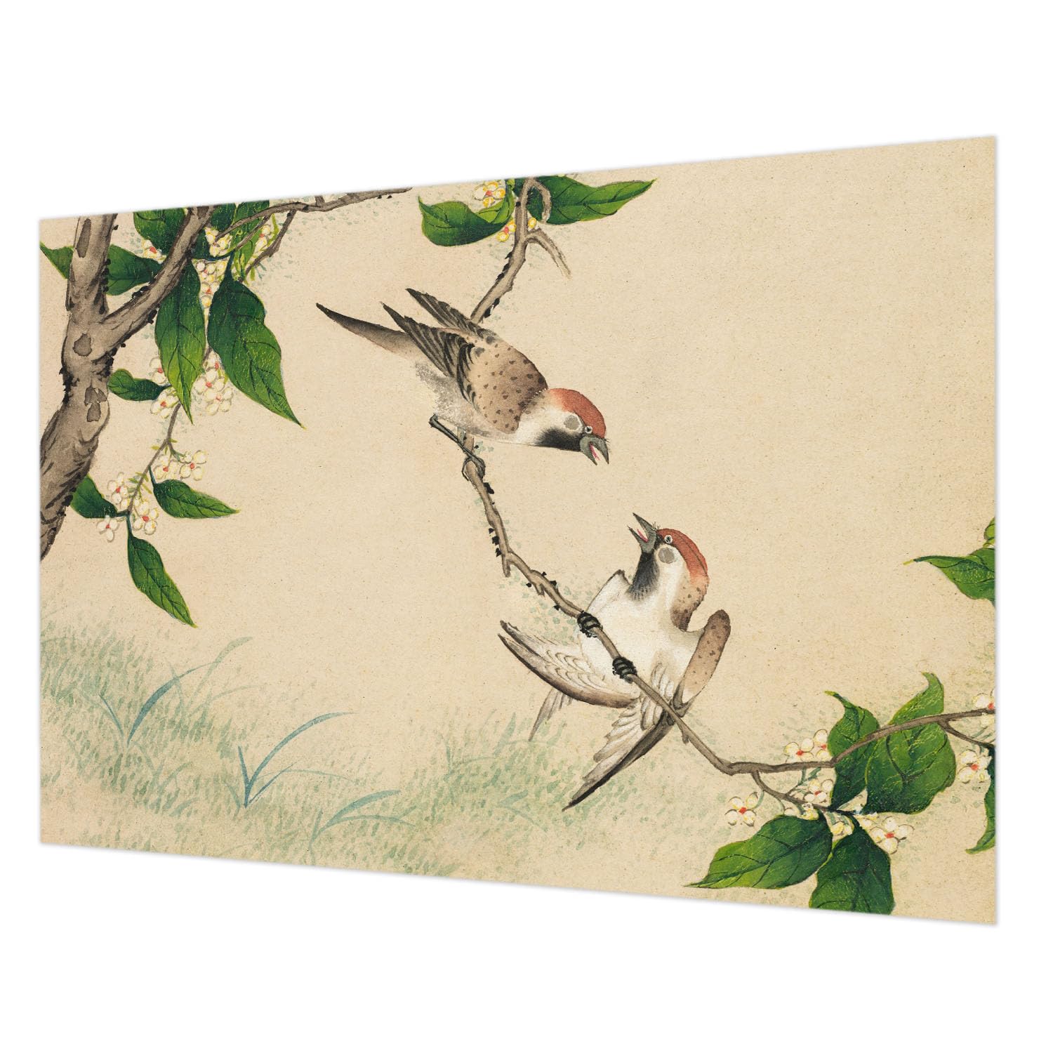 Papier peint haute qualité Tulup impression premium 312x219 cm au rendu Duo classique