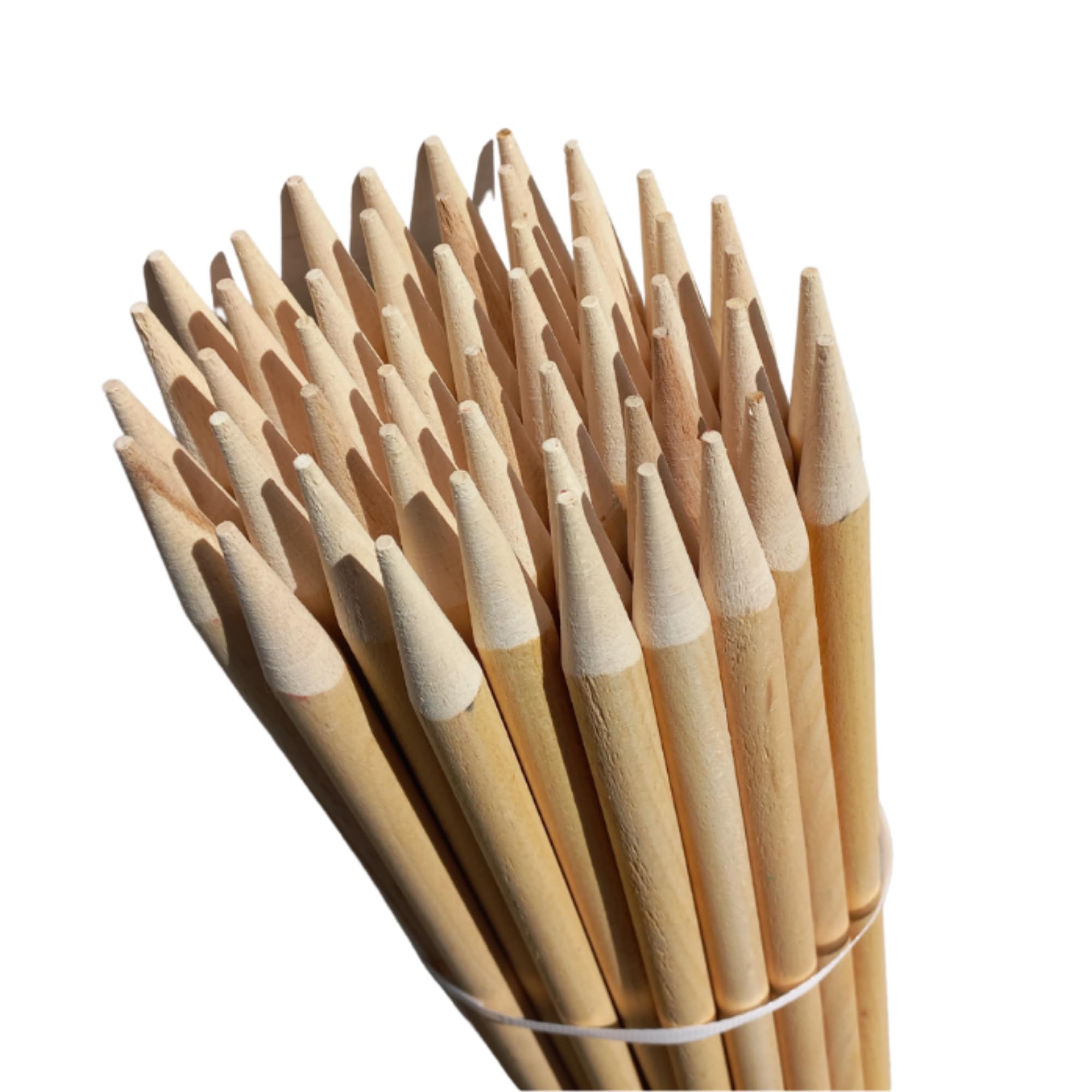 50 Estacas Madera Haya Ovaladas ⌀18 mm x 78 cm – Poste para Cercas y Árboles – Tutores Robustos para Plantas y Tomates