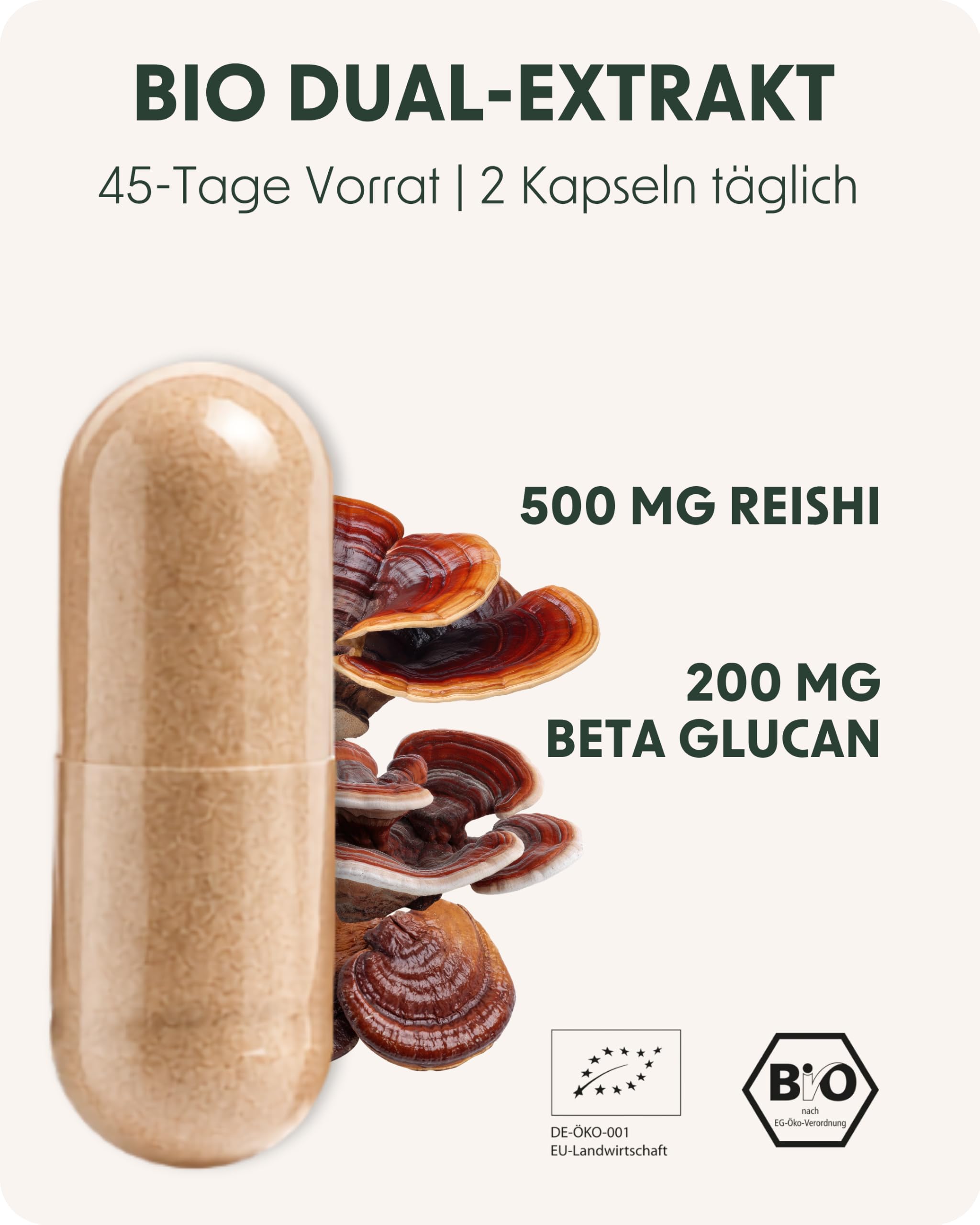 Reishi Extrakt Kapseln BIO Hochdosiert - 90 Kapseln Vitalpilze Komplex