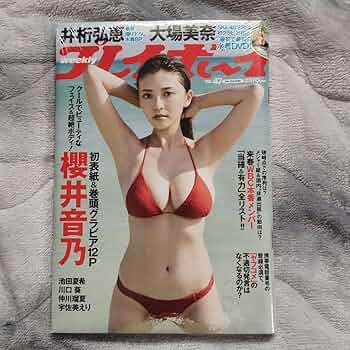 プレイボーイまとめ売り 週刊プレイボーイ 特別付録 DVD グラドル120人 141分 - メルカリ