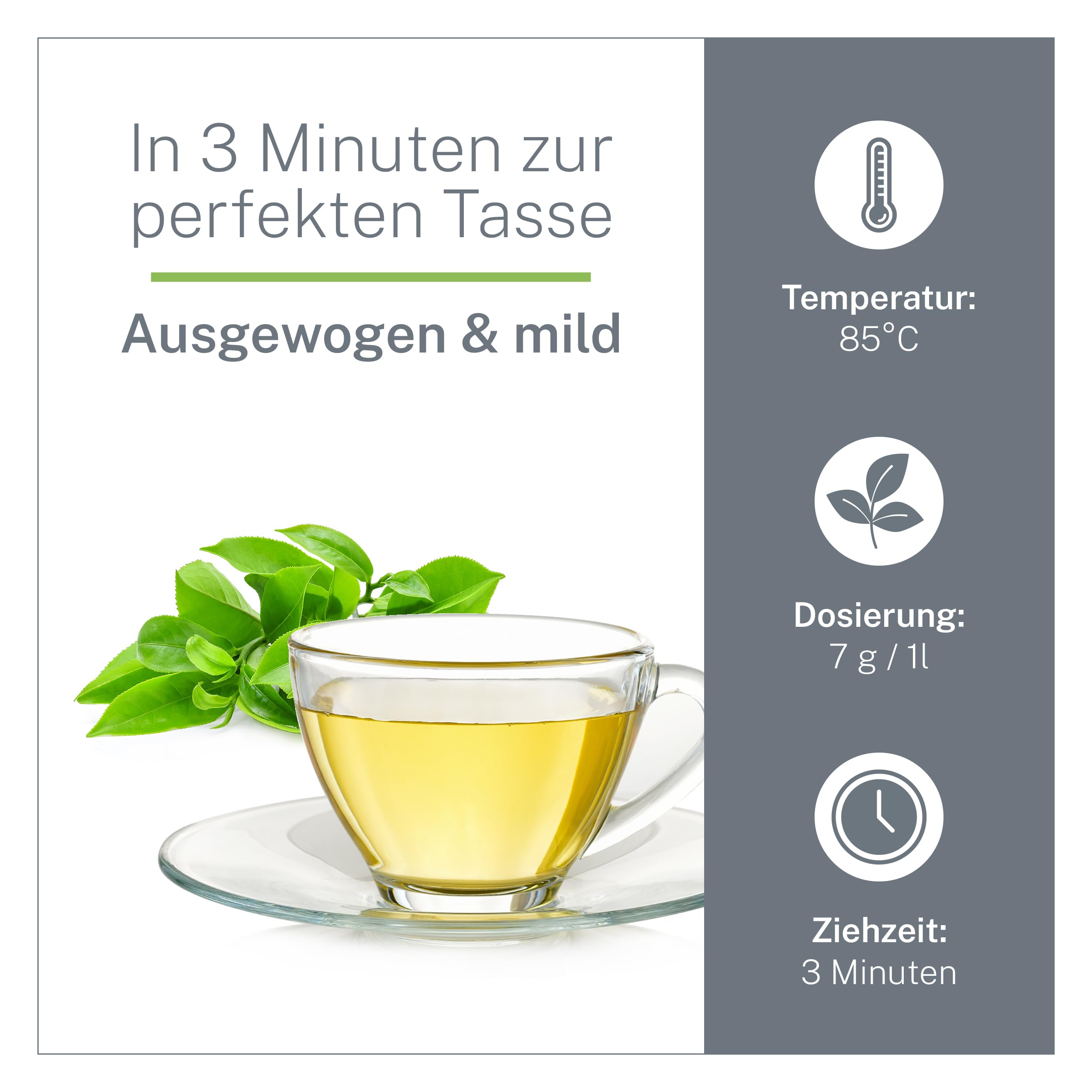 Chun Mee Bio-Tee 1kg – Hochwertiger Grüntee in Bio-Qualität aus China – Grüntee aus ökologischem Anbau – Rauchig-Süß im Geschmack – Für Genießer und Tee-Kenner – MyCupOfTea (Packung mit 2)