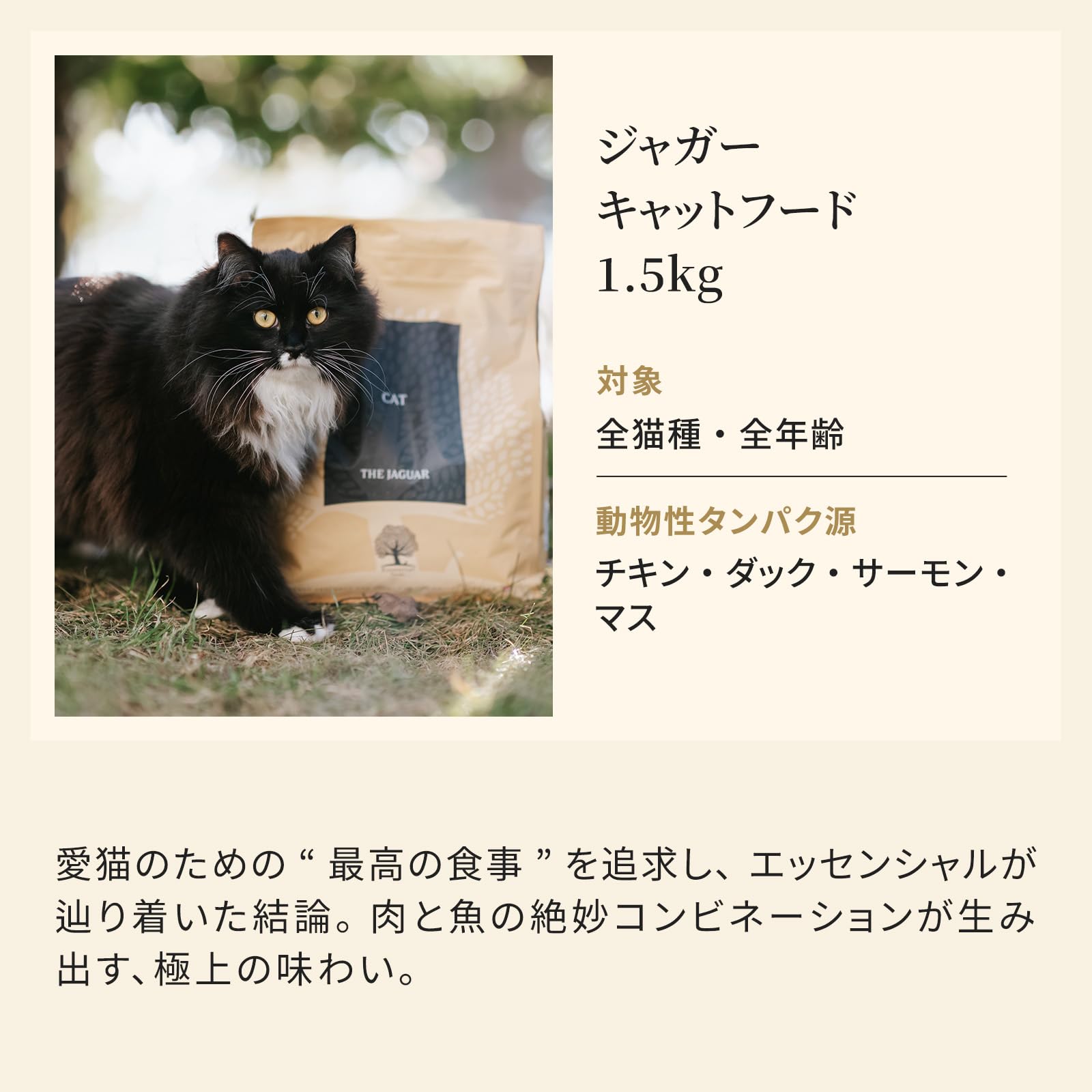 ジャガー キャットフード 新品 未開封 5袋セット Amazon | ジャガー キャットフード 1.5kg 全猫種 全年齢 グレイン