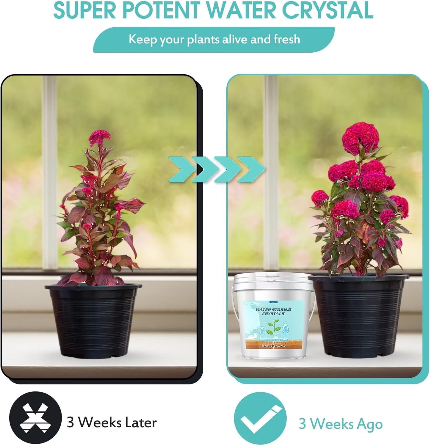 5LB Water Storing Crystals for Plants with Spoon, Water Gel Solves Plant Over-Watering and Drought Problems, Keeps The Soil Moist, Small Water Storing Polymer Crystals for Plants Powder - by Oycevila
