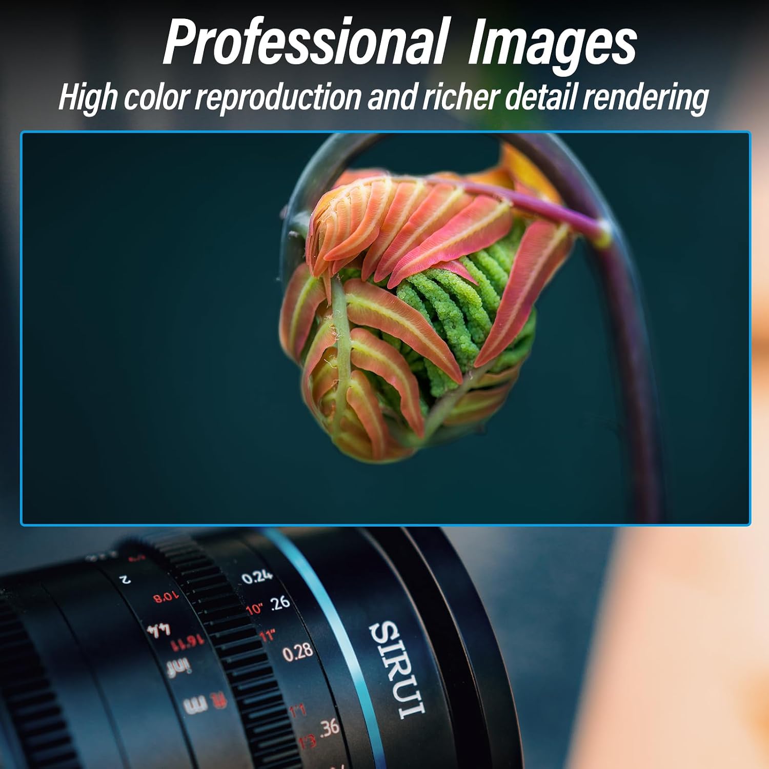 SIRUI 75mm Jupiter Macro T2 Full-Frame Cine Prime Lens (PL Mount)