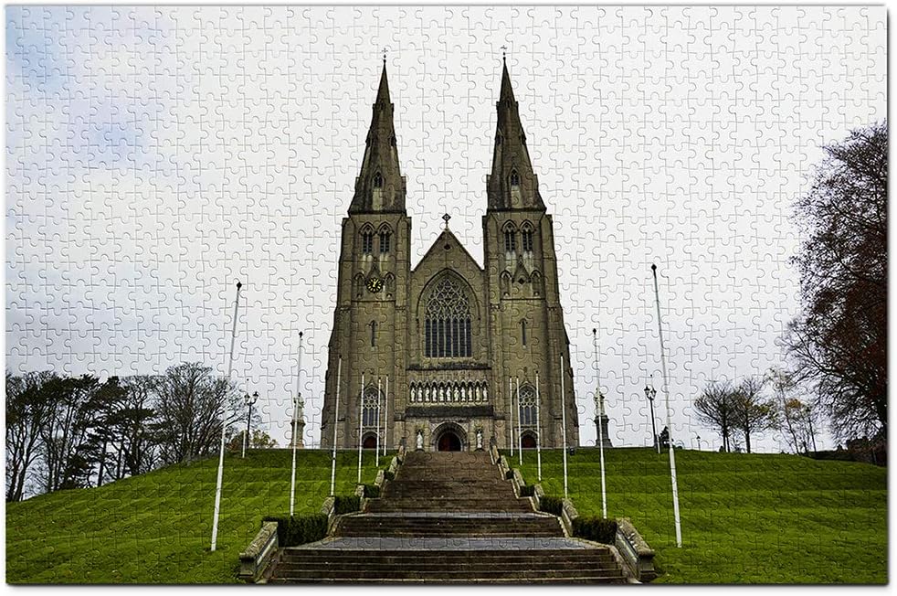 Irland St. Patrick's Cathedral Dublín Puzzle de 1000 piezas, puzzle de madera, para adultos, gráficos de juego, recuerdo de viaje de madera