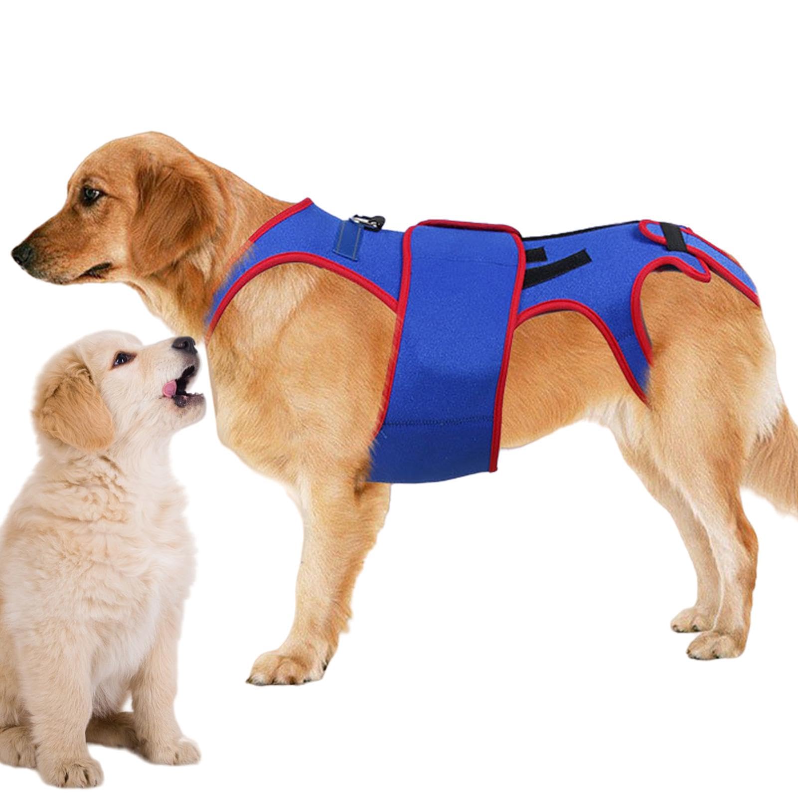 Rückenbandage für Hunde, zur Unterstützung und Rehabilitation von Haustieren, weiche Unterstützung für Beine und Hüften