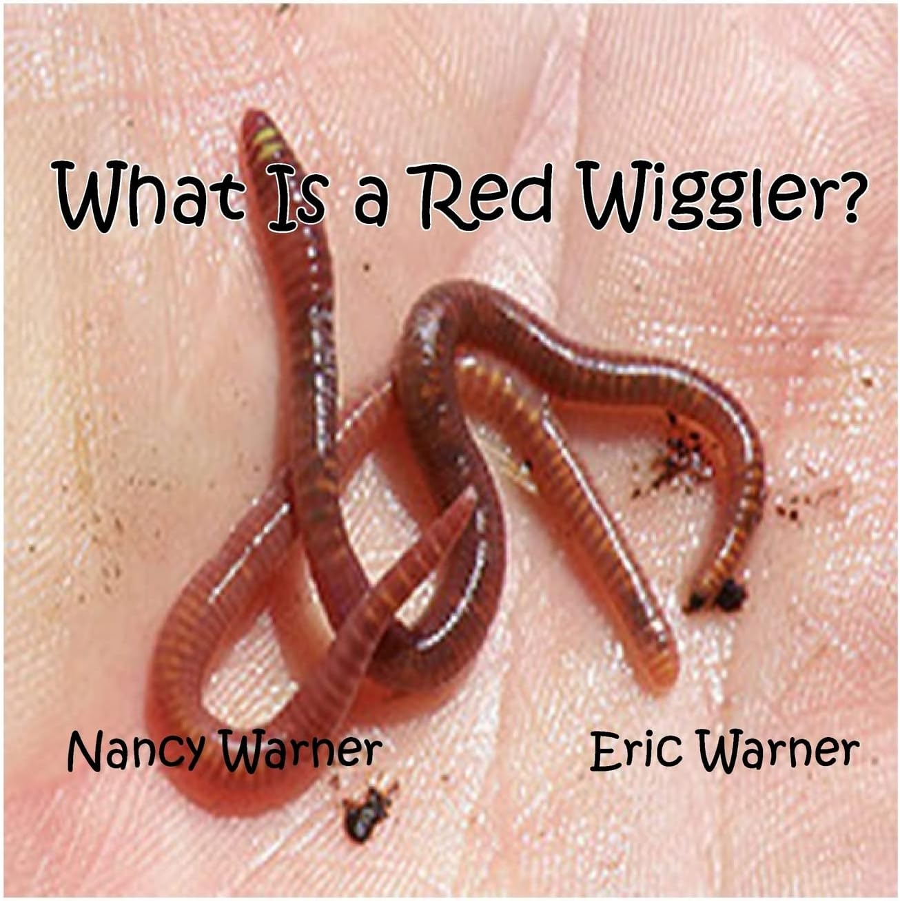 What is a Red Wiggler?