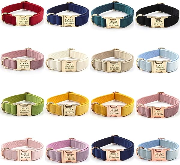 PETDURO Custom Dog Collar Personalized with Name Engraved Gold Metal Buckle for Large Medium Small Boy and Girl Dogs - Dog Leash and Bow Tie Set Available - Soft Comfy Velvet (Dark Blue, S) - 2