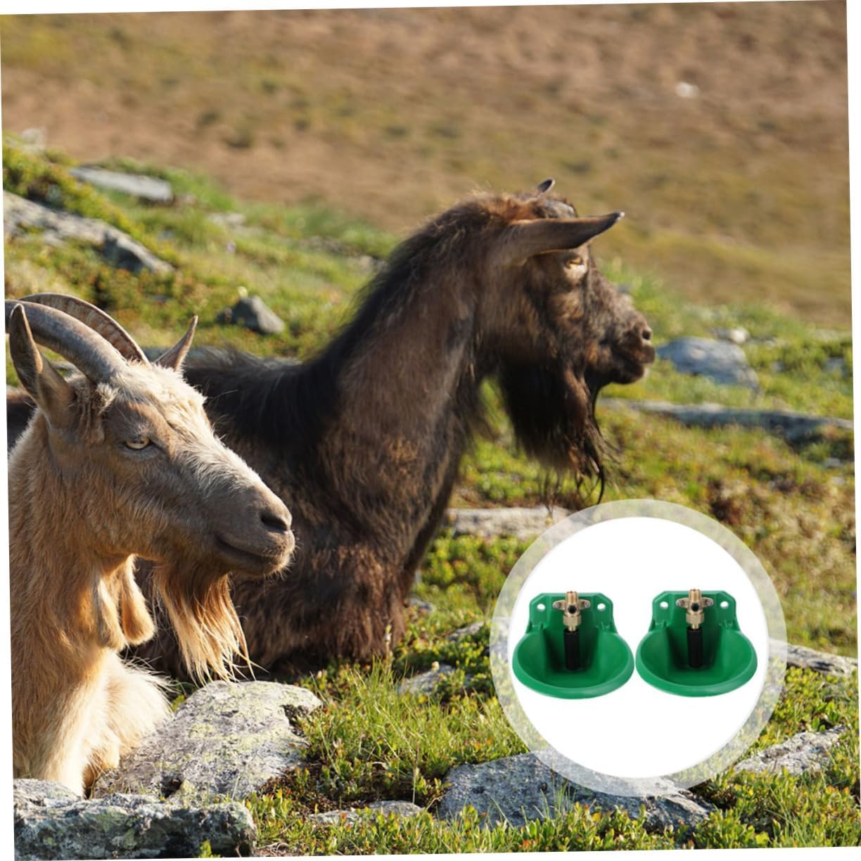 2pcs Automatic Drinking Fountain for Sheep Copper Valve Pet Accessory Durable Water Bowl for Livestock for Cattle and Sheep Easy to and Install