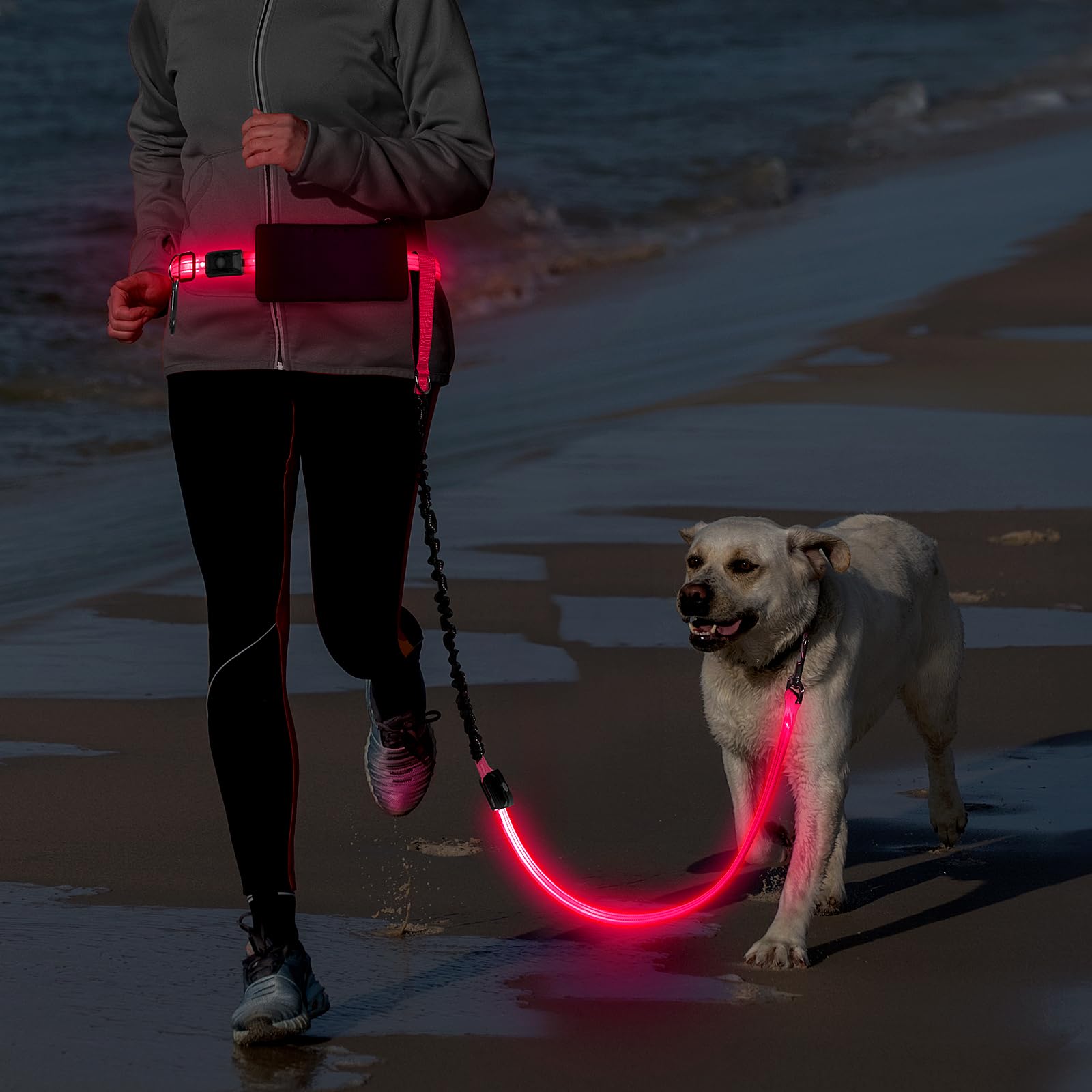 Laisse mains libres à LED pour chien, laisse de taille pour promener le chien, laisse élastique rétractable, laisse de course sans mains à DEL, laisse de course réfléchissante pour jogging,