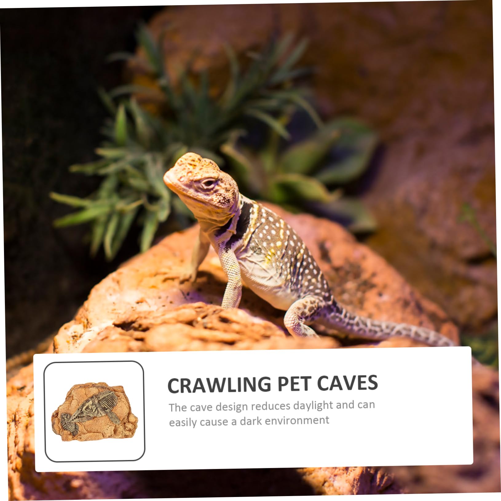 minkissy Refugio Para Reptiles Cuevas Para Mascotas Reptantes Decoración De Cuevas