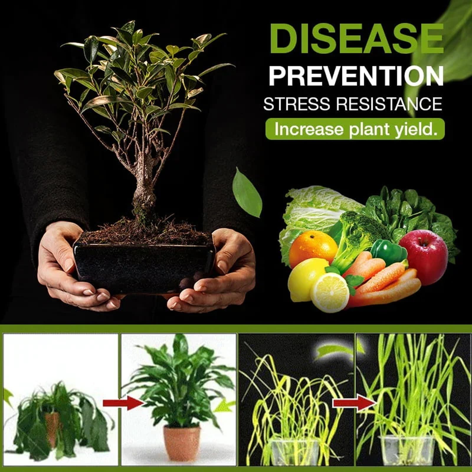 Activateur de sol Soil,activateur de sol organique et engrais pour plantes,pelouses et jardins,Stimulateur De Santé DuSol,revitalisateur de sol multifonctionnel,pour plantes d'intérieur et d'extérieur
