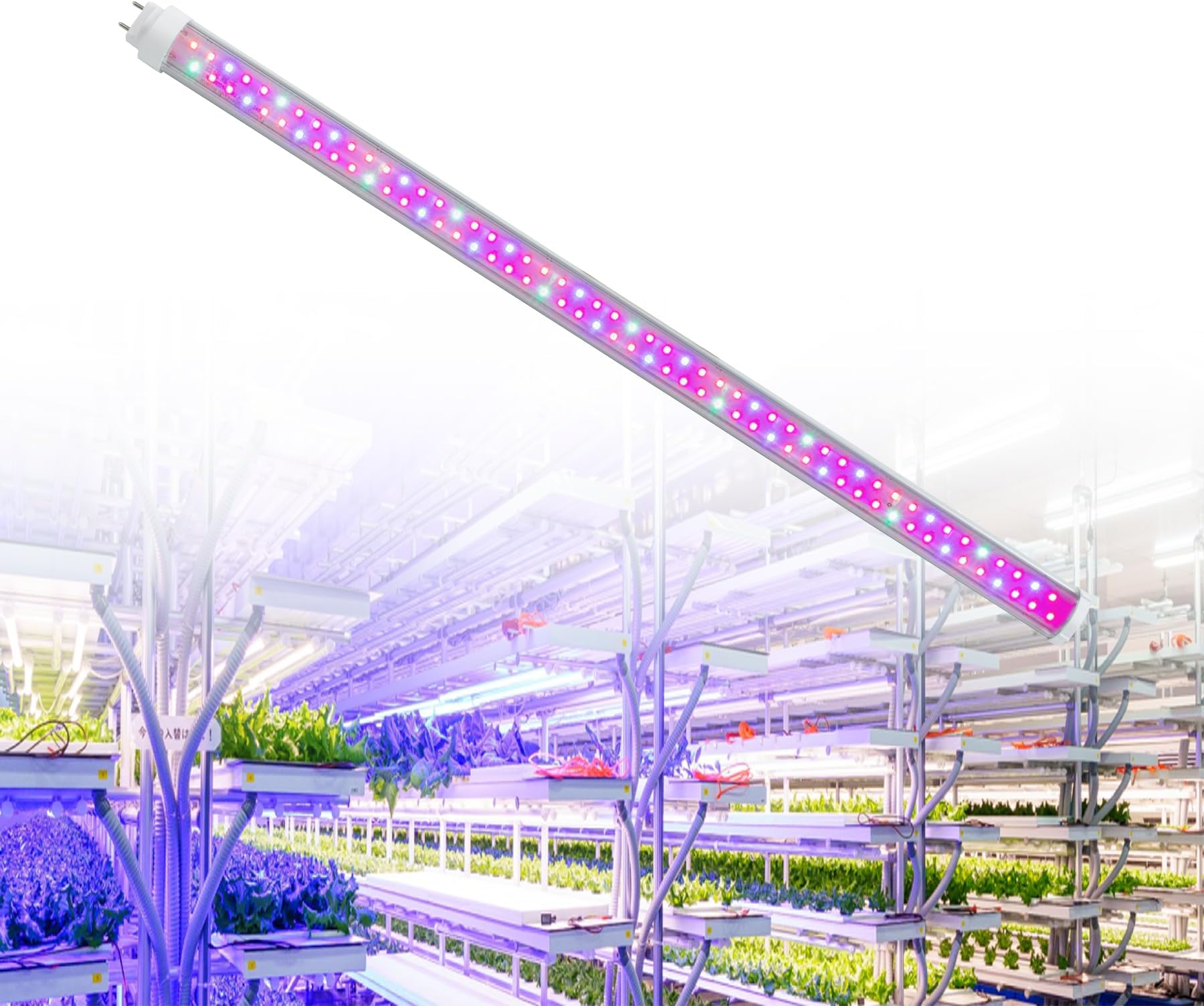 Led 植物工場 作り方 – 植物育成用 Led | 超低コストLED植物工場を自作する【育苗編】 – SMTMFP