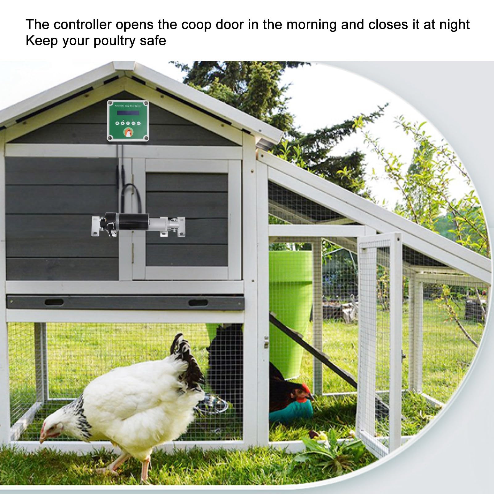 Jeffergarden Kit Apriporta Automatico per Pollaio, Tempo Programmabile Attuatore per Porta Elettrica per Pollaio Set di Regolazione Libera da 100 a 240 V per Fattoria (Spina UE)