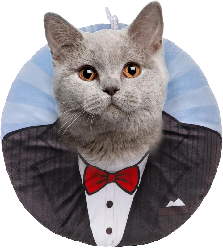 Colar de Recuperação Macio para Gatos BEAUTYZOO com Ajuste por Cordão